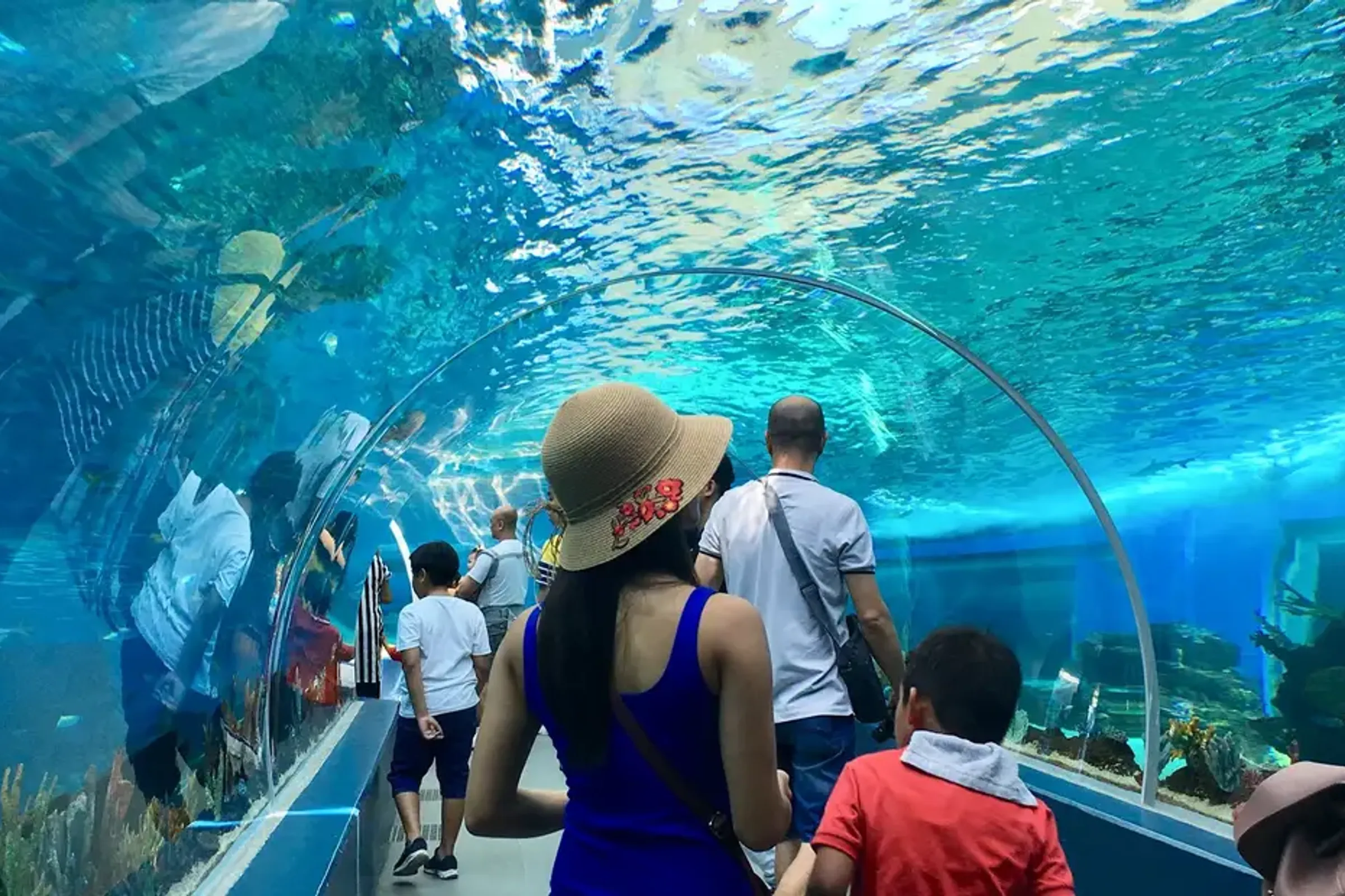 Cebu Ocean Park Ticket