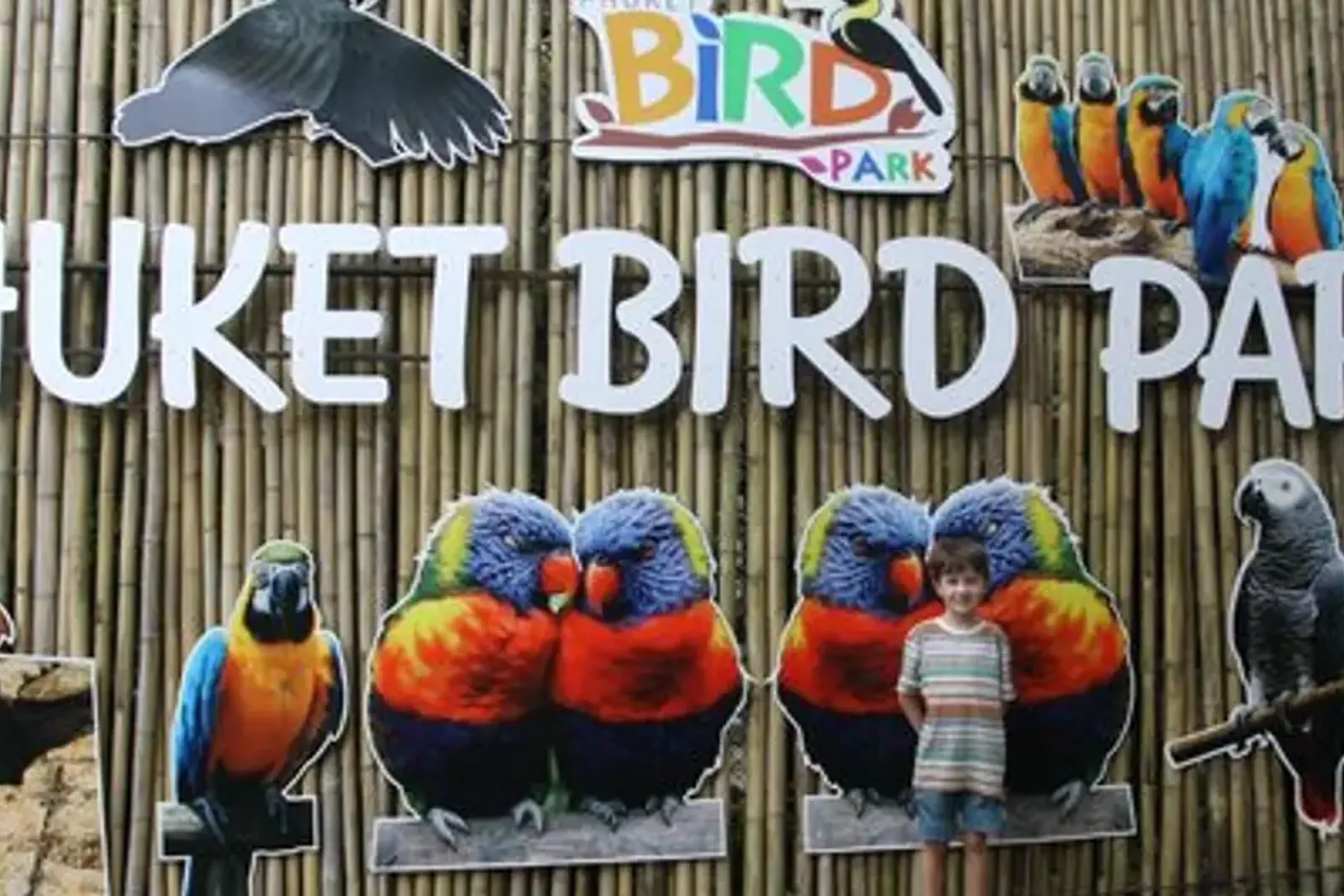Phuket Bird Park Ticket