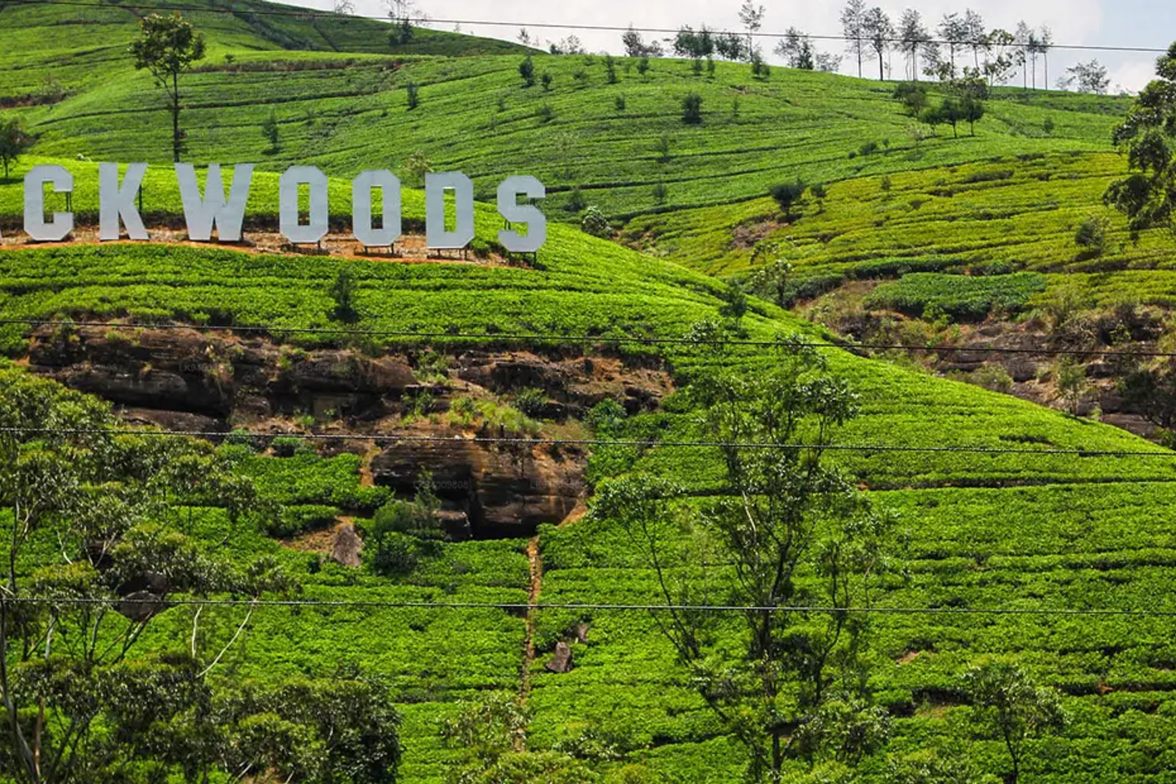 Nuwara Eliya 2 Day Tour from Colombo