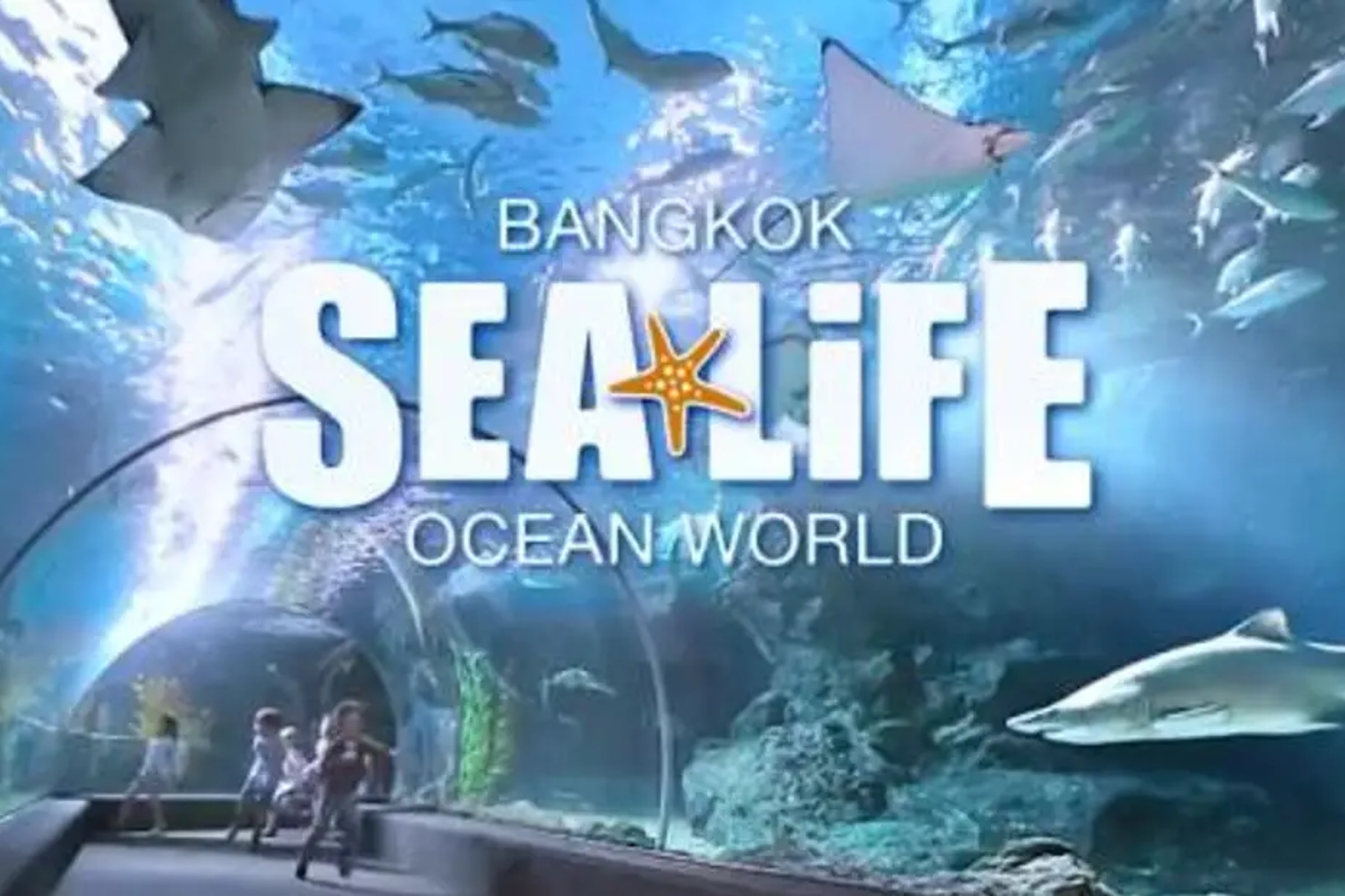 SEA LIFE Bangkok Ocean World Ticket