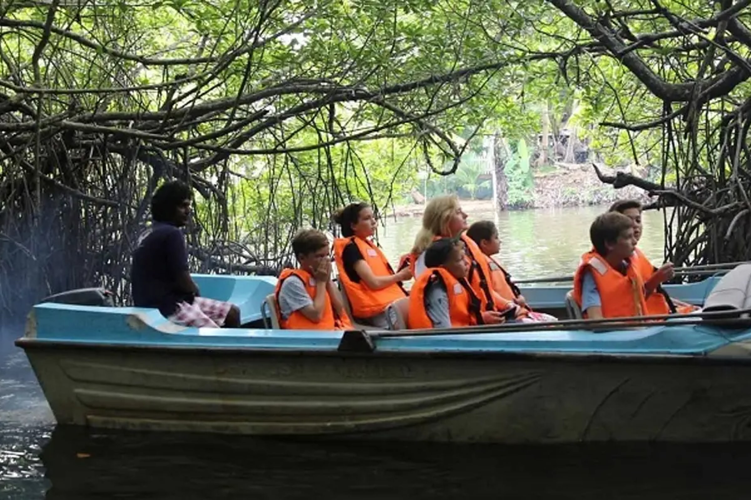 Balapitiya River Safari and Nature Tour from Colombo