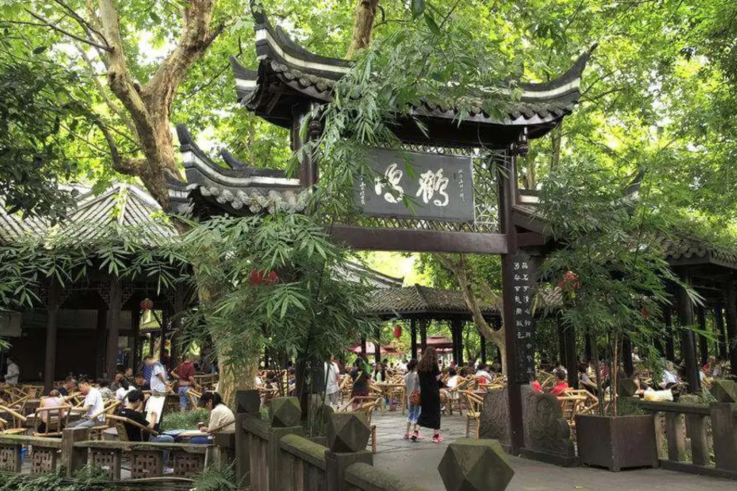 Chengdu People's Park Private Half Day Tour