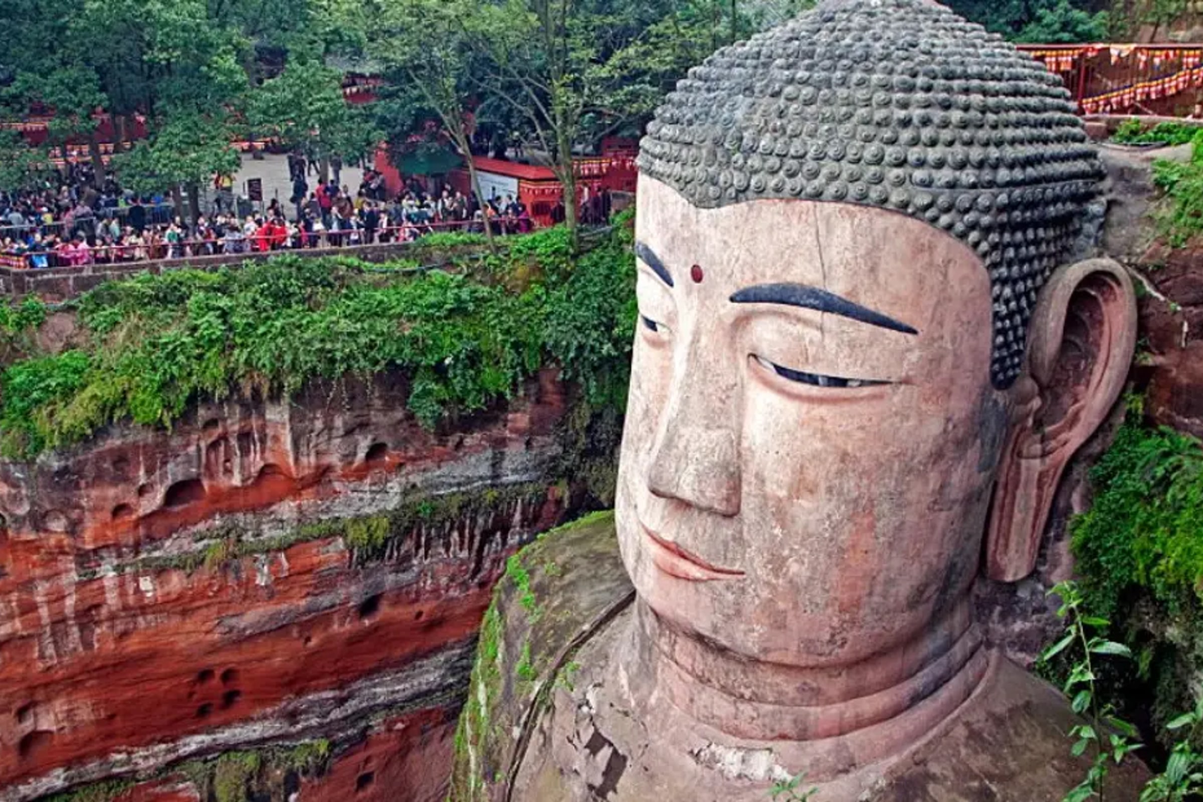 Giant Buddha and Tea Terrace Town Day Tour from Chengdu