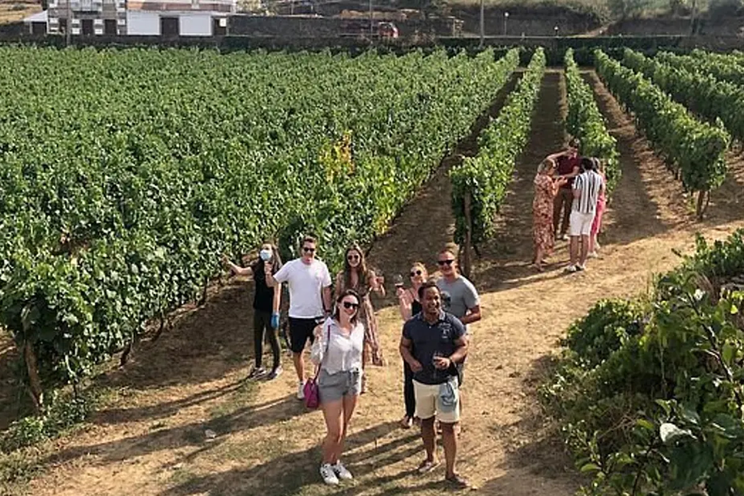 Douro Valley Tour: Wine Tasting, River Cruise and Lunch From Porto