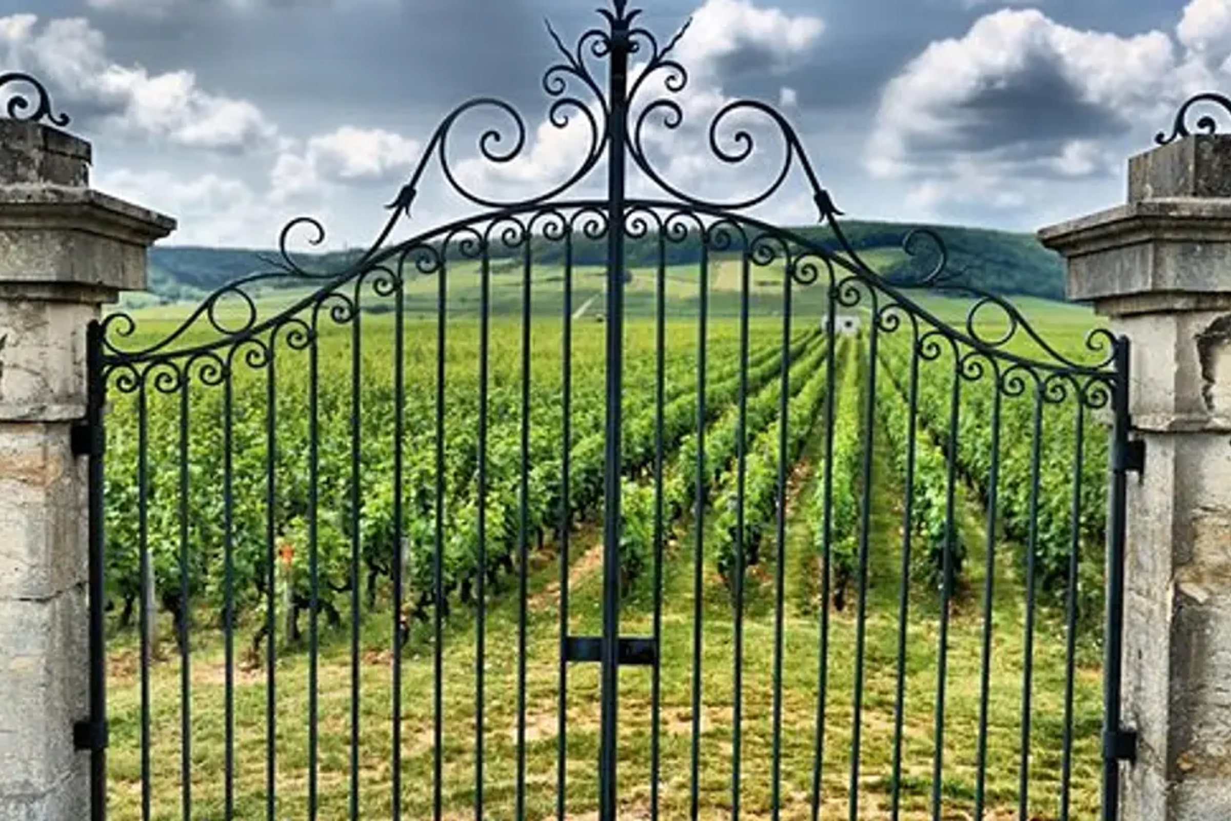 Saint Emilion Half-Day Trip with Wine Tasting & Winery Visit from Bordeaux
