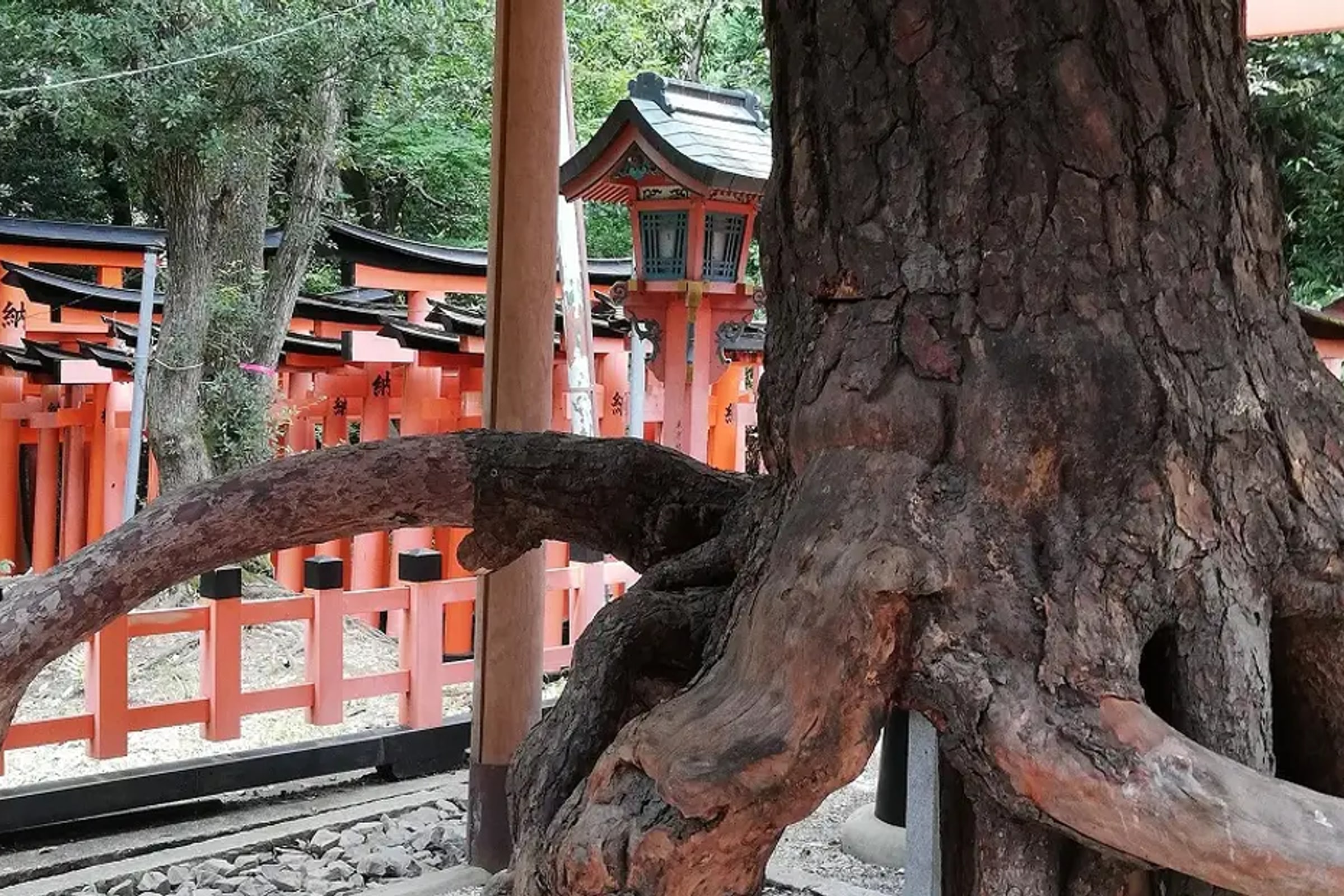 Fushimi Inari Shrine Walking Tour