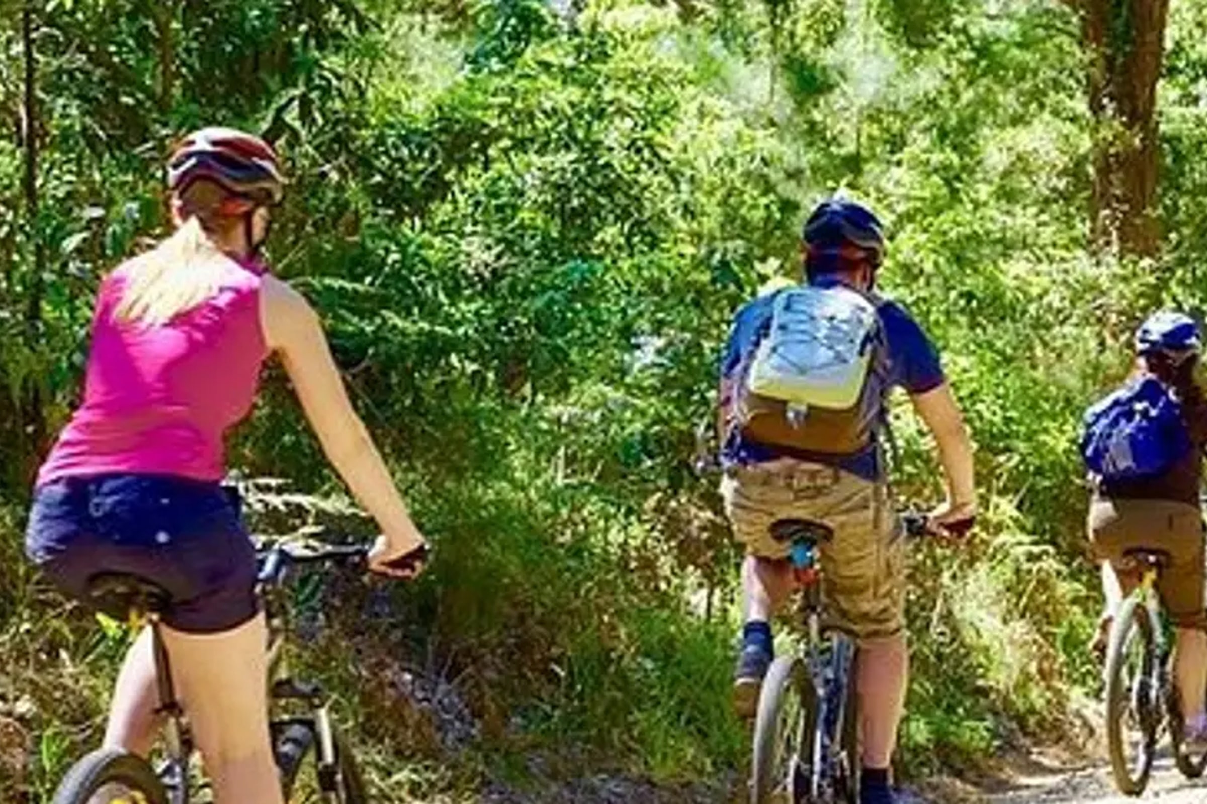 Colombo Cycling Tour