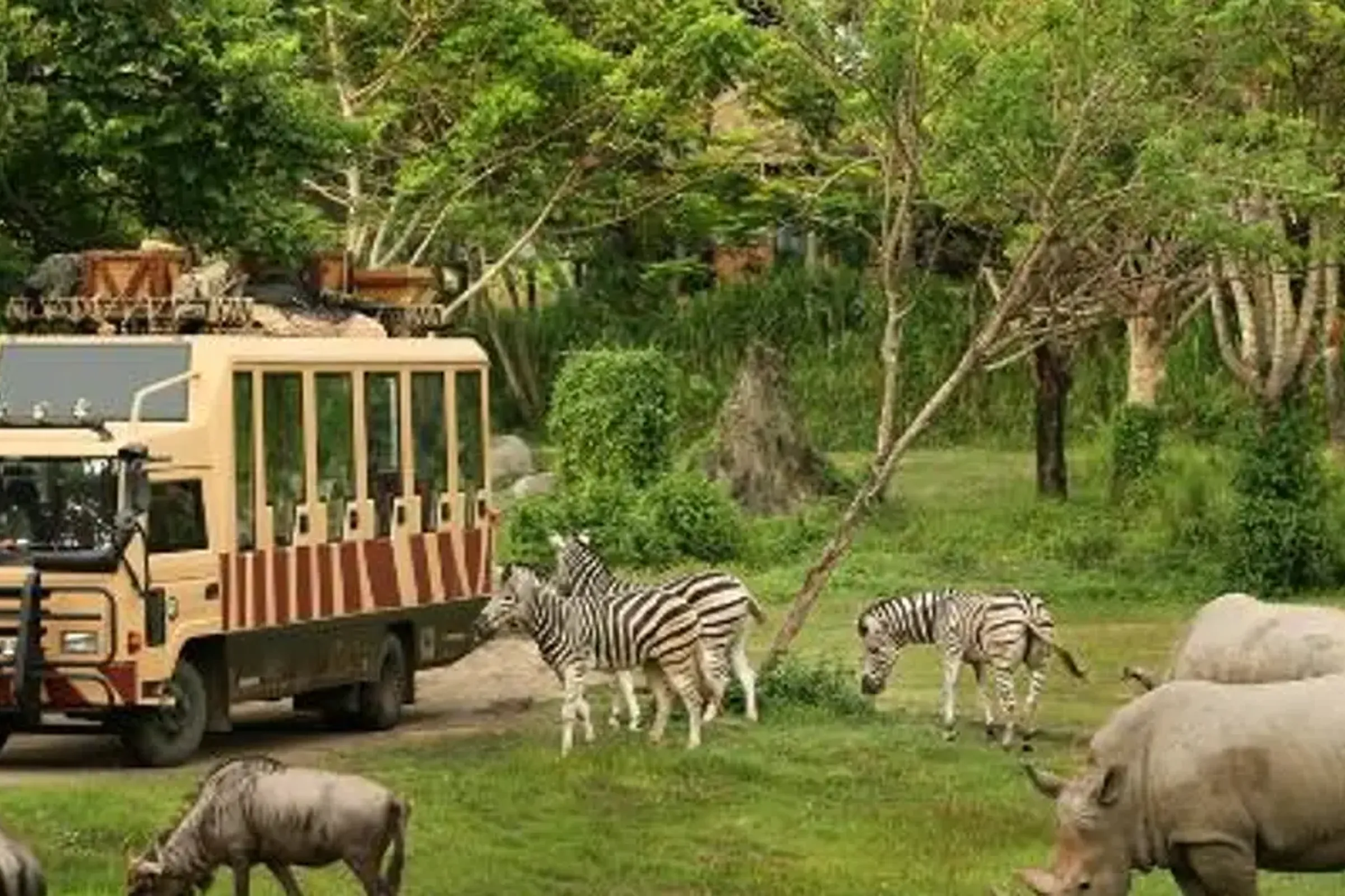 Bali Safari and Marine Park Tickets (Domestic Rate)