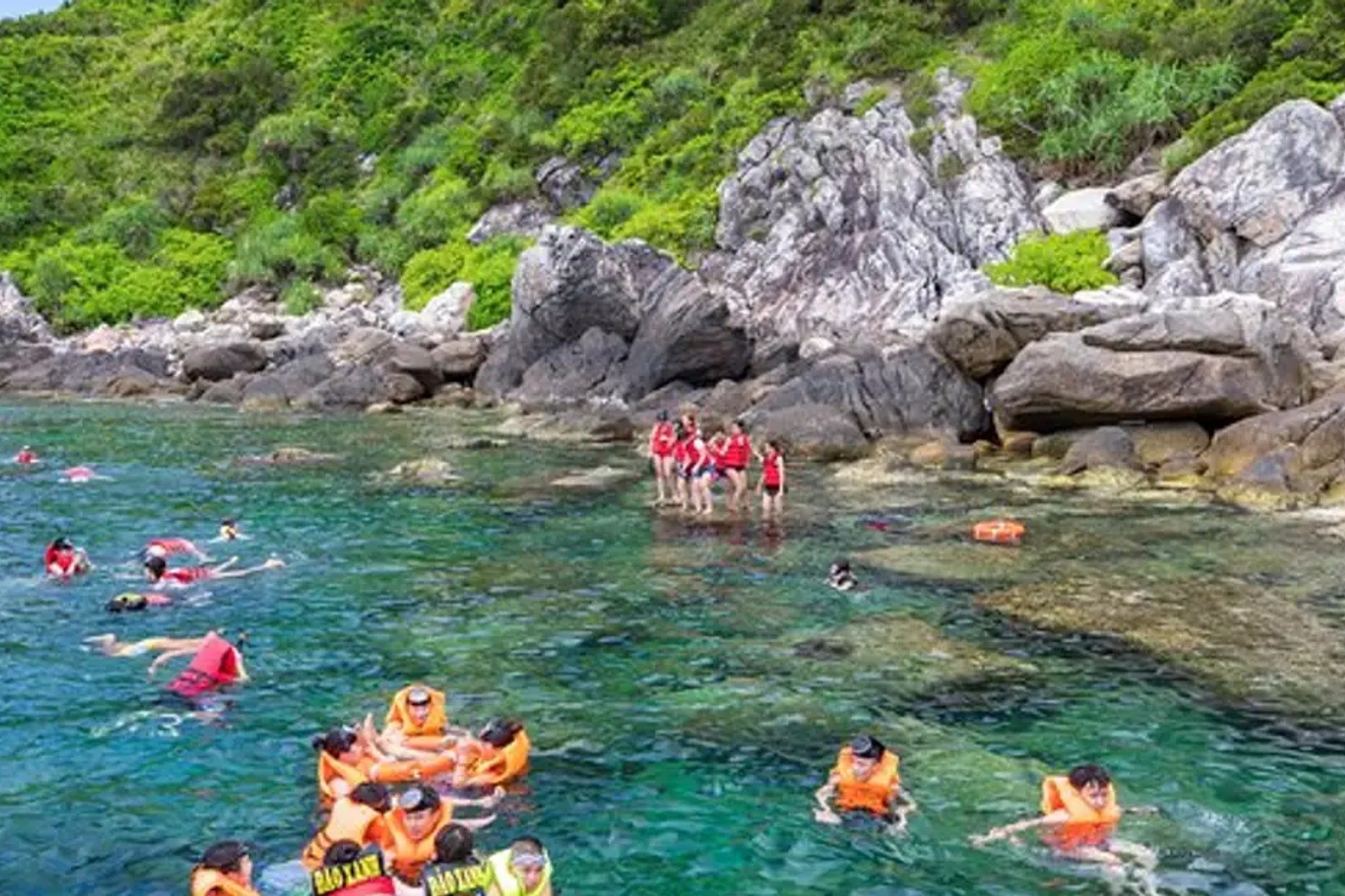 Cham Islands Day Tour from Da Nang
