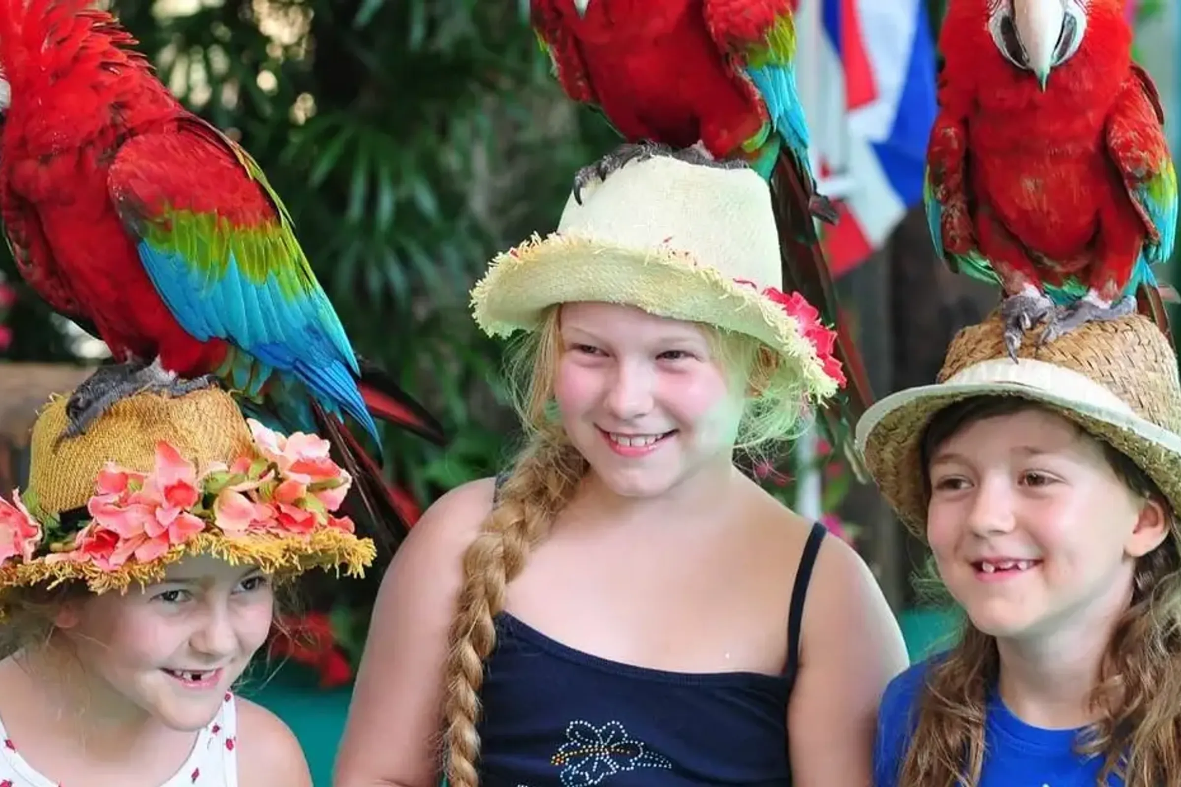 Phuket Bird Park Ticket — photo 3