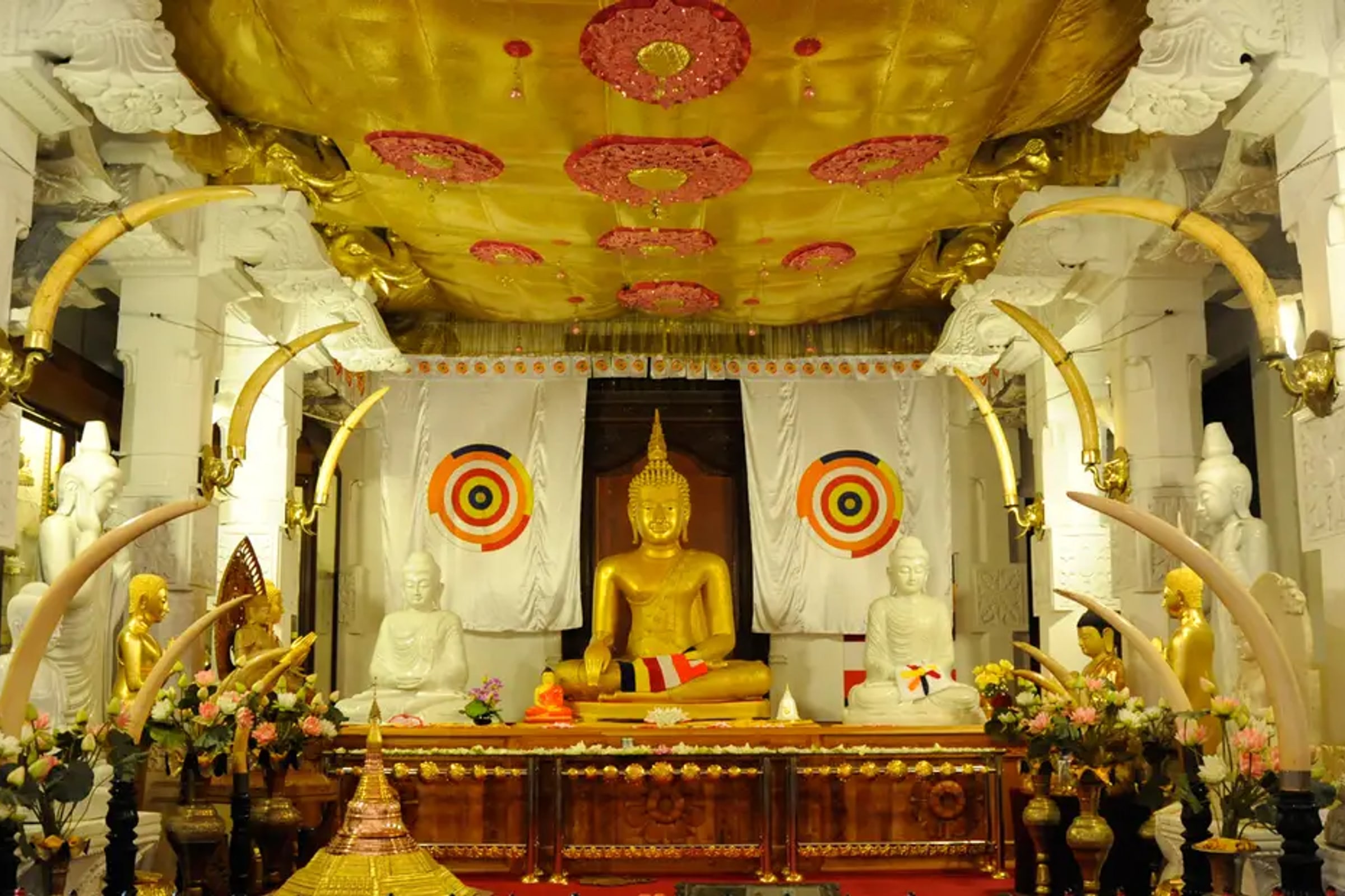 Kandy City Day Tour