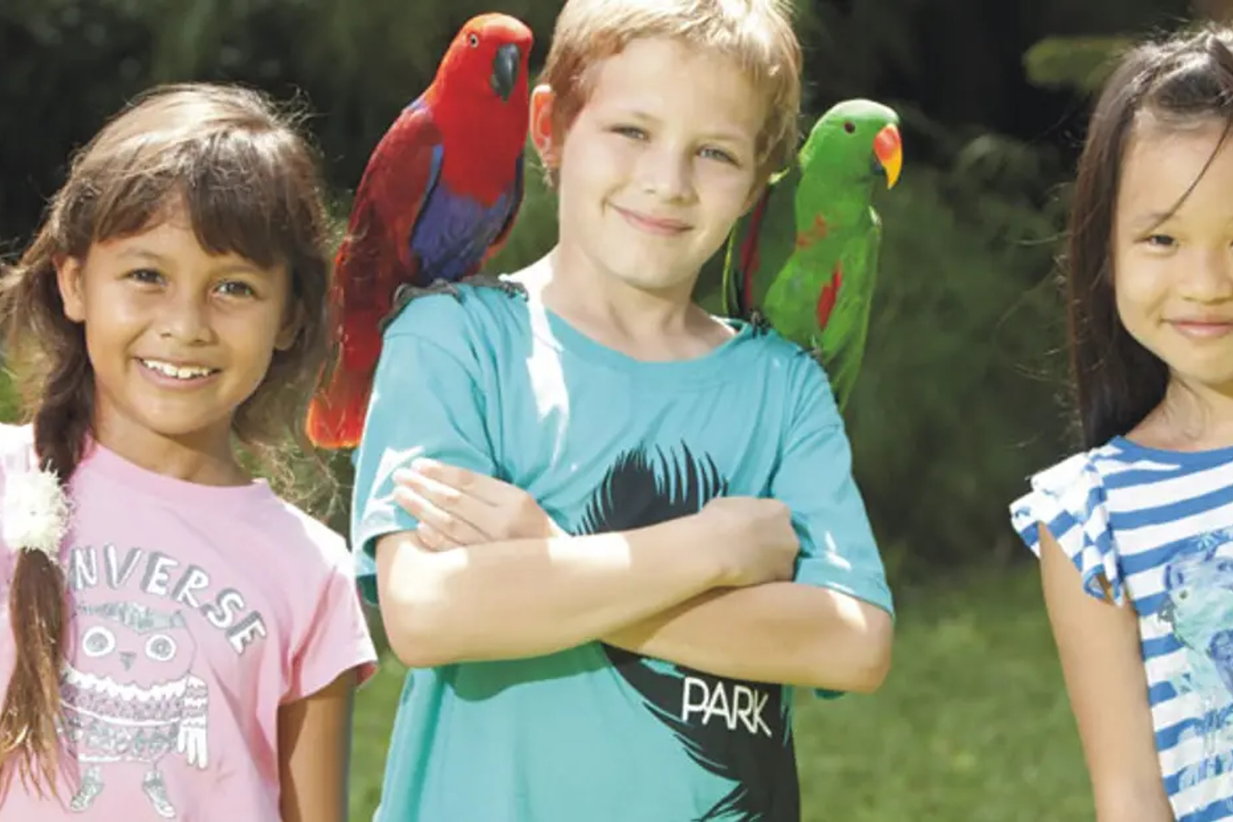 Bali Bird Park Ticket