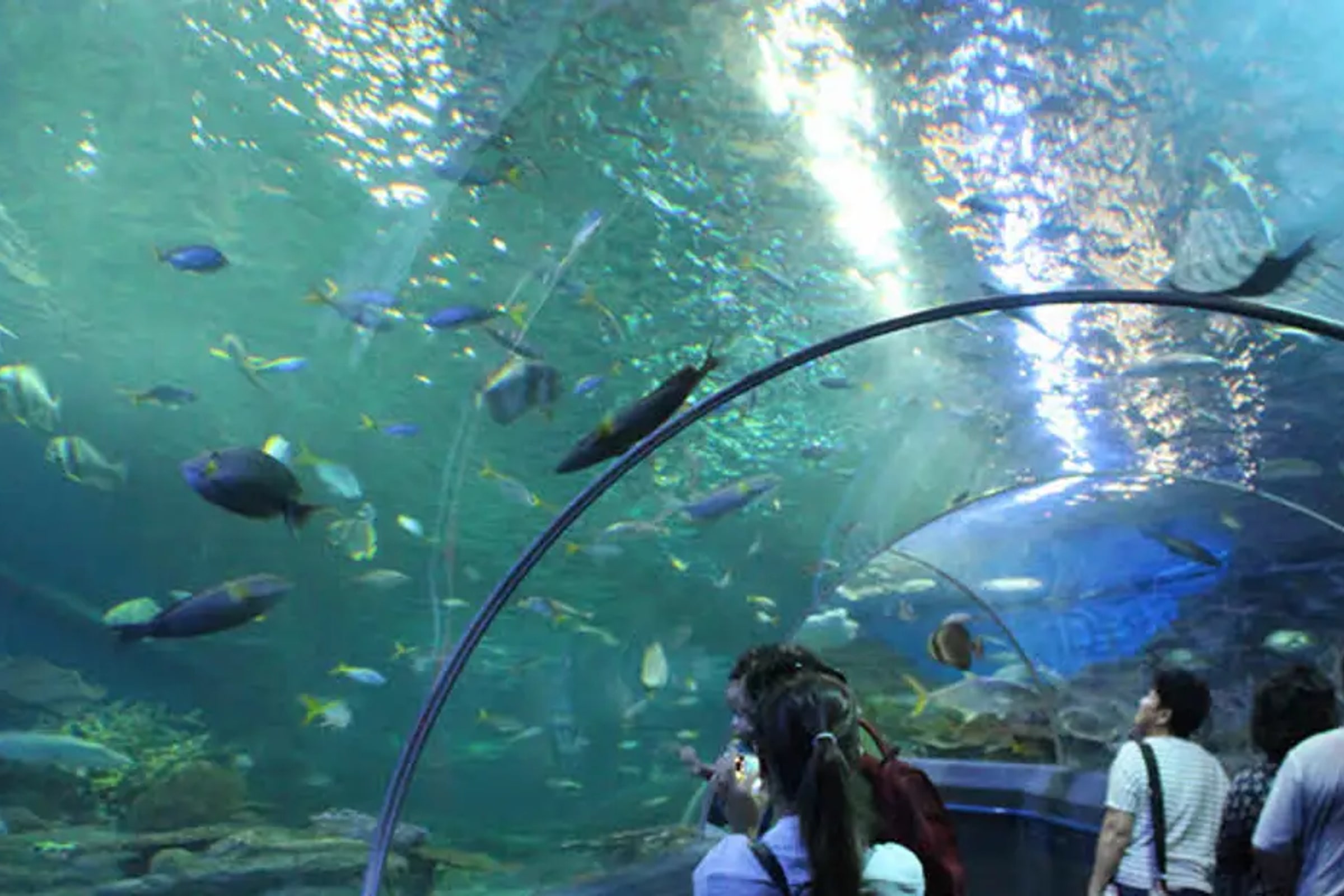 Underwater World Pattaya