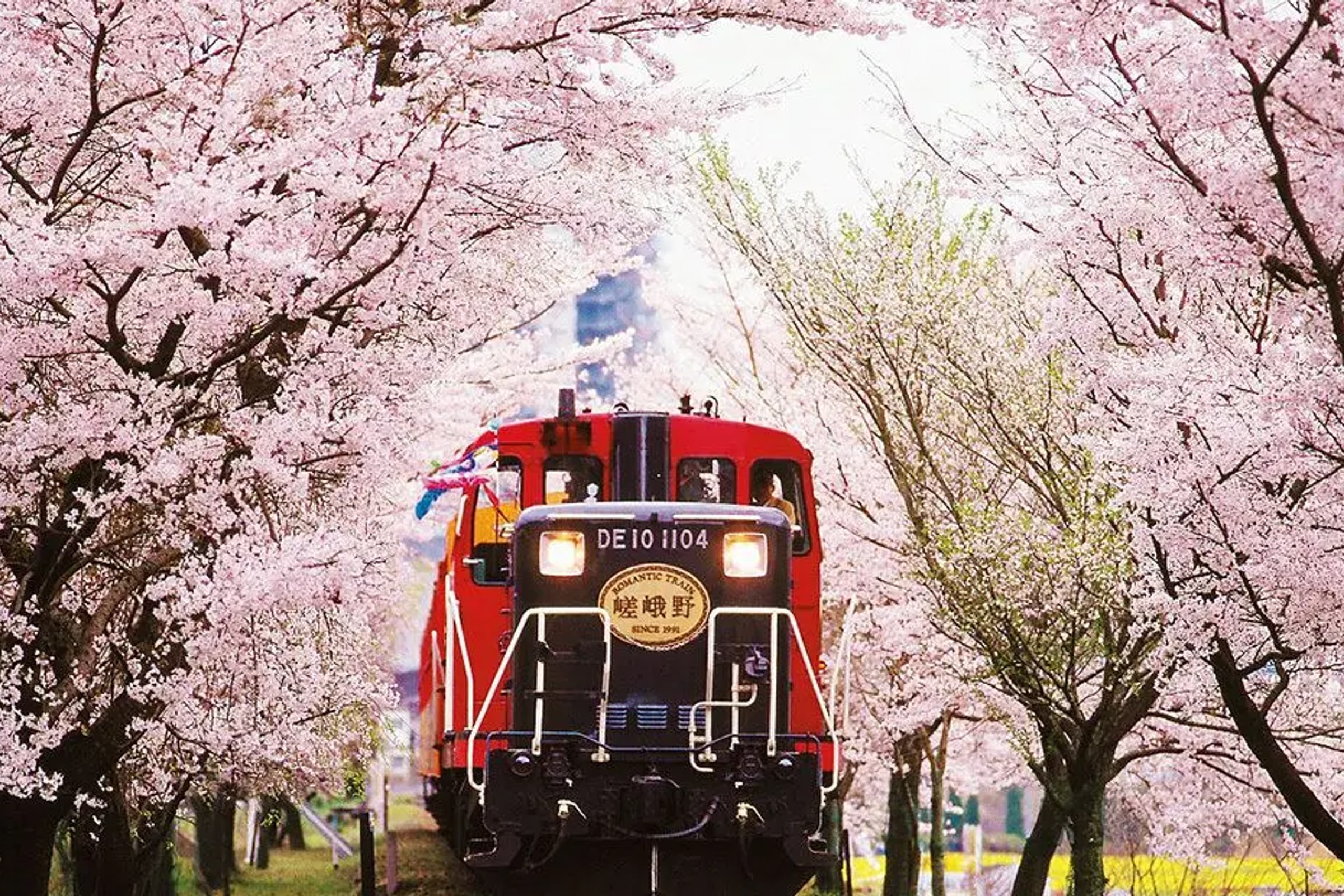 Sagano Romantic Train Ticket (Kyoto Station Pick Up)
