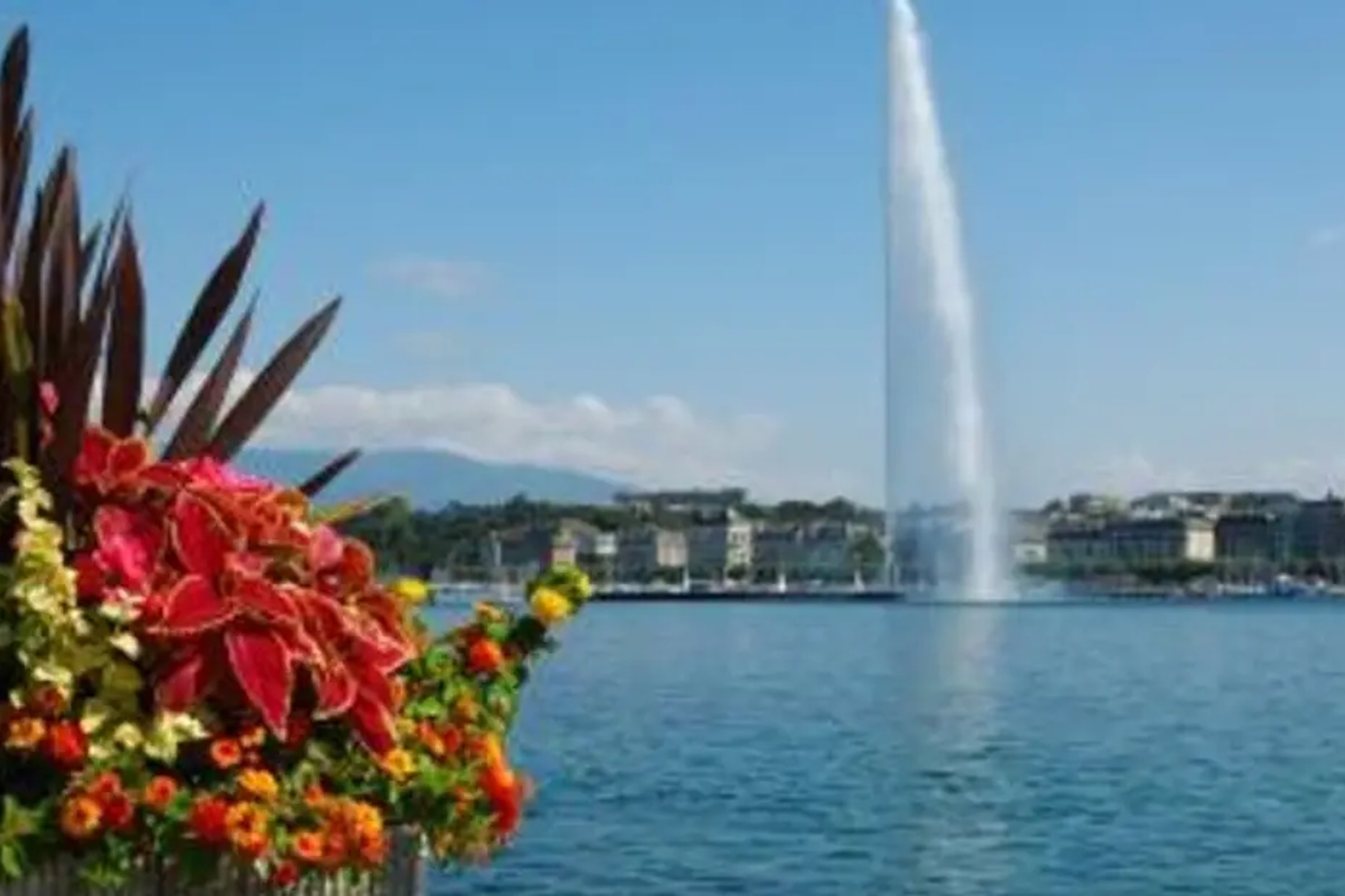 Geneva City Tour and Boat Cruise