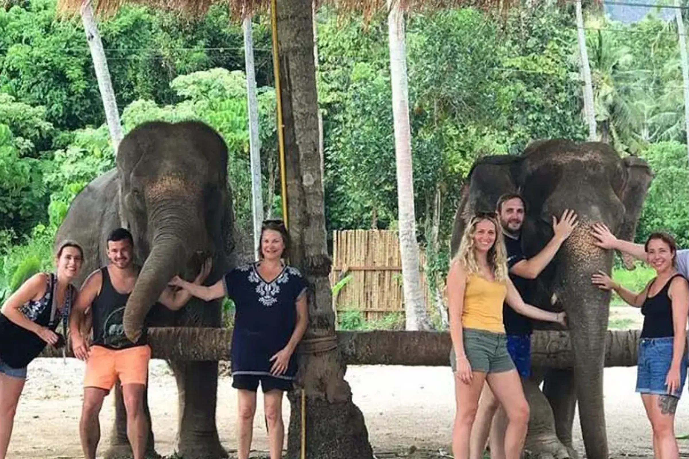 Aonang Elephant Sanctuary Experience