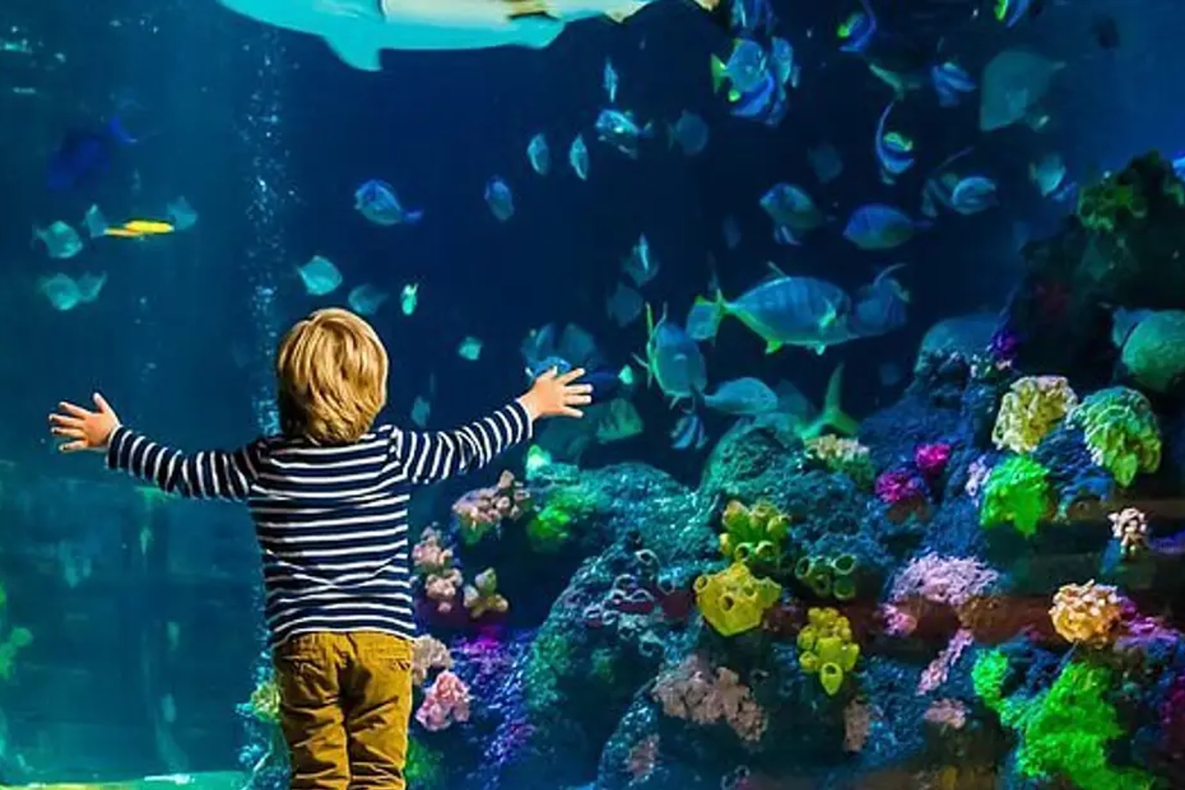 SEA LIFE Munich
