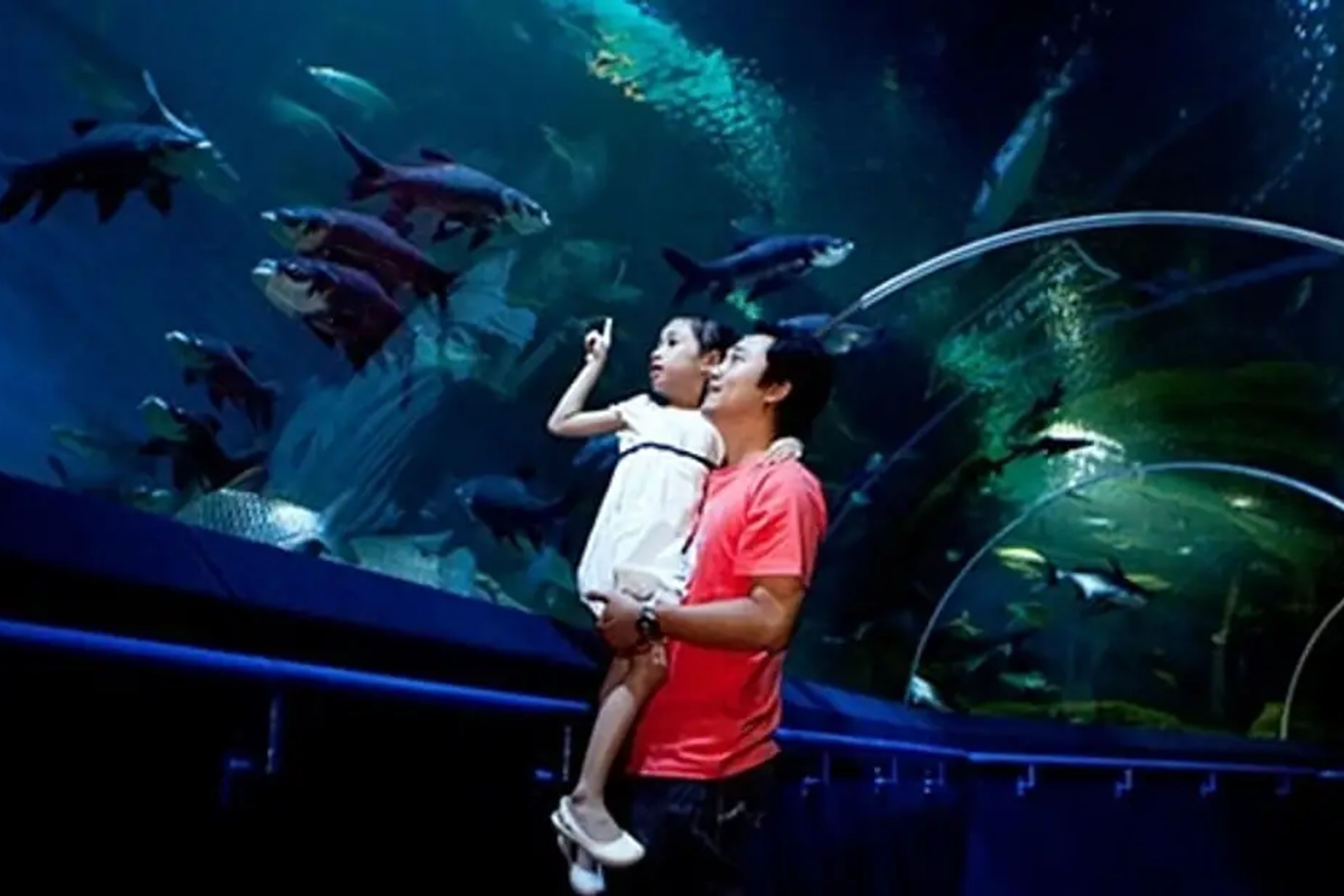 Underwater World Pattaya