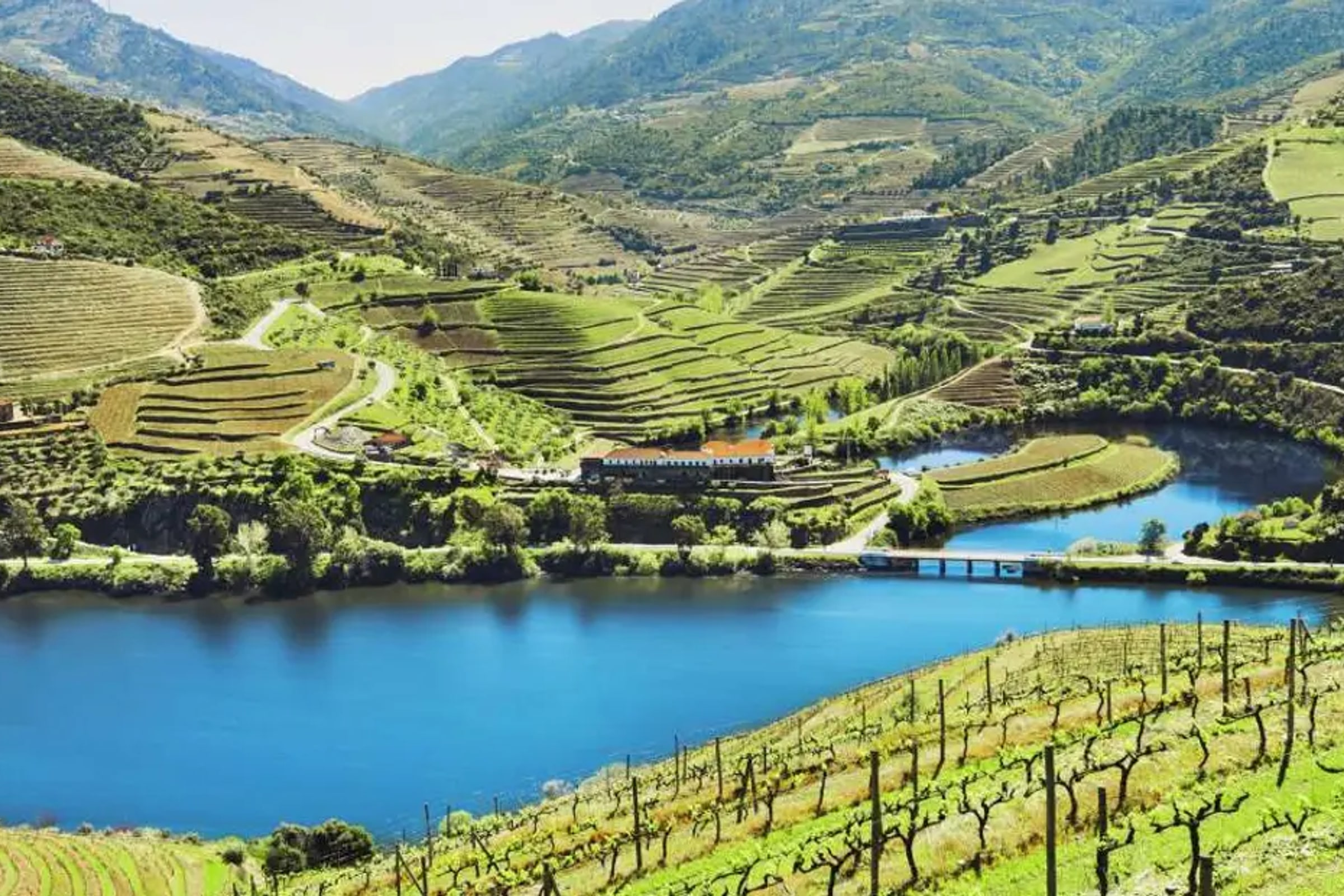 Douro Valley Tour: Wine Tasting, River Cruise and Lunch From Porto