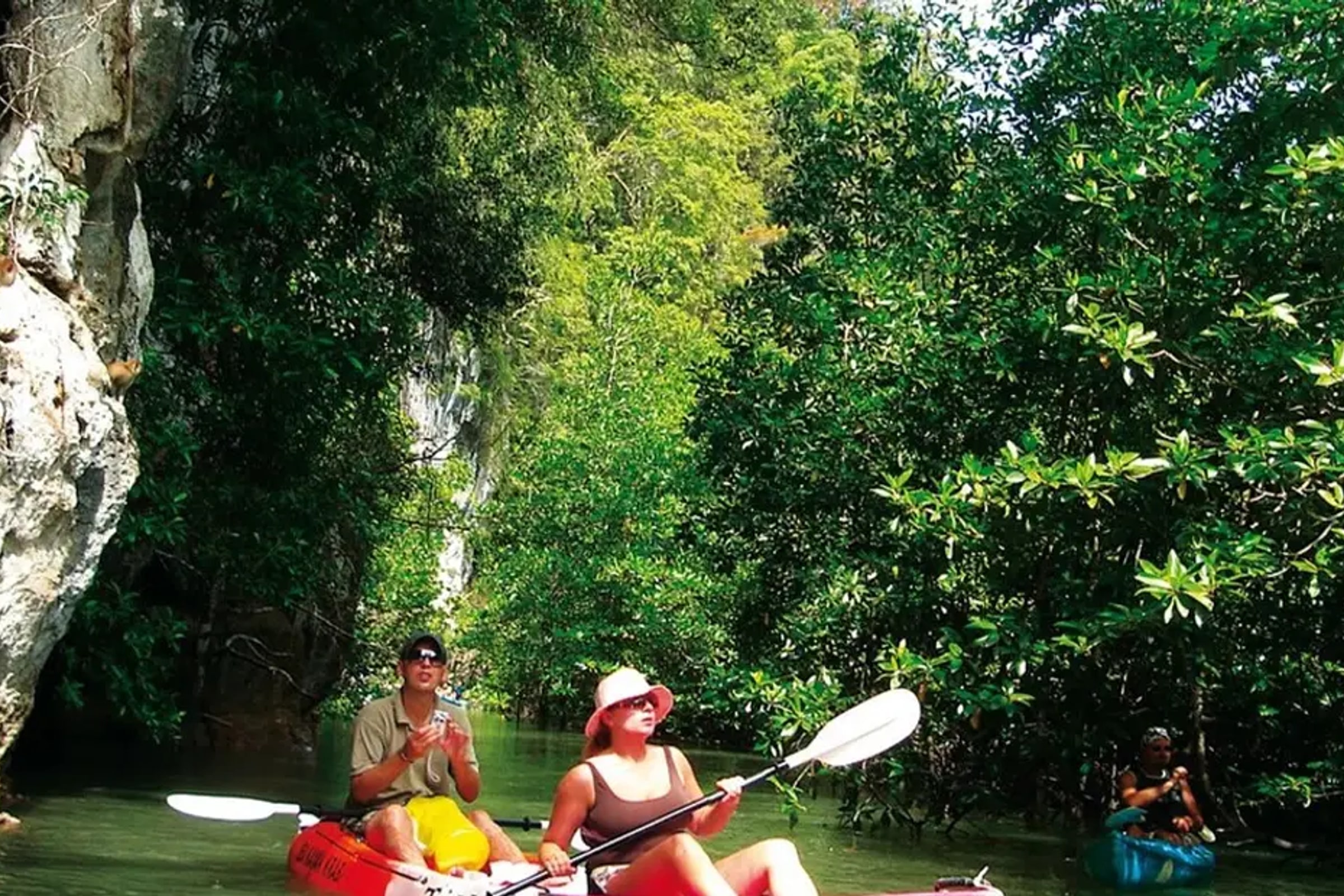 Krabi Mangrove Kayak Trip