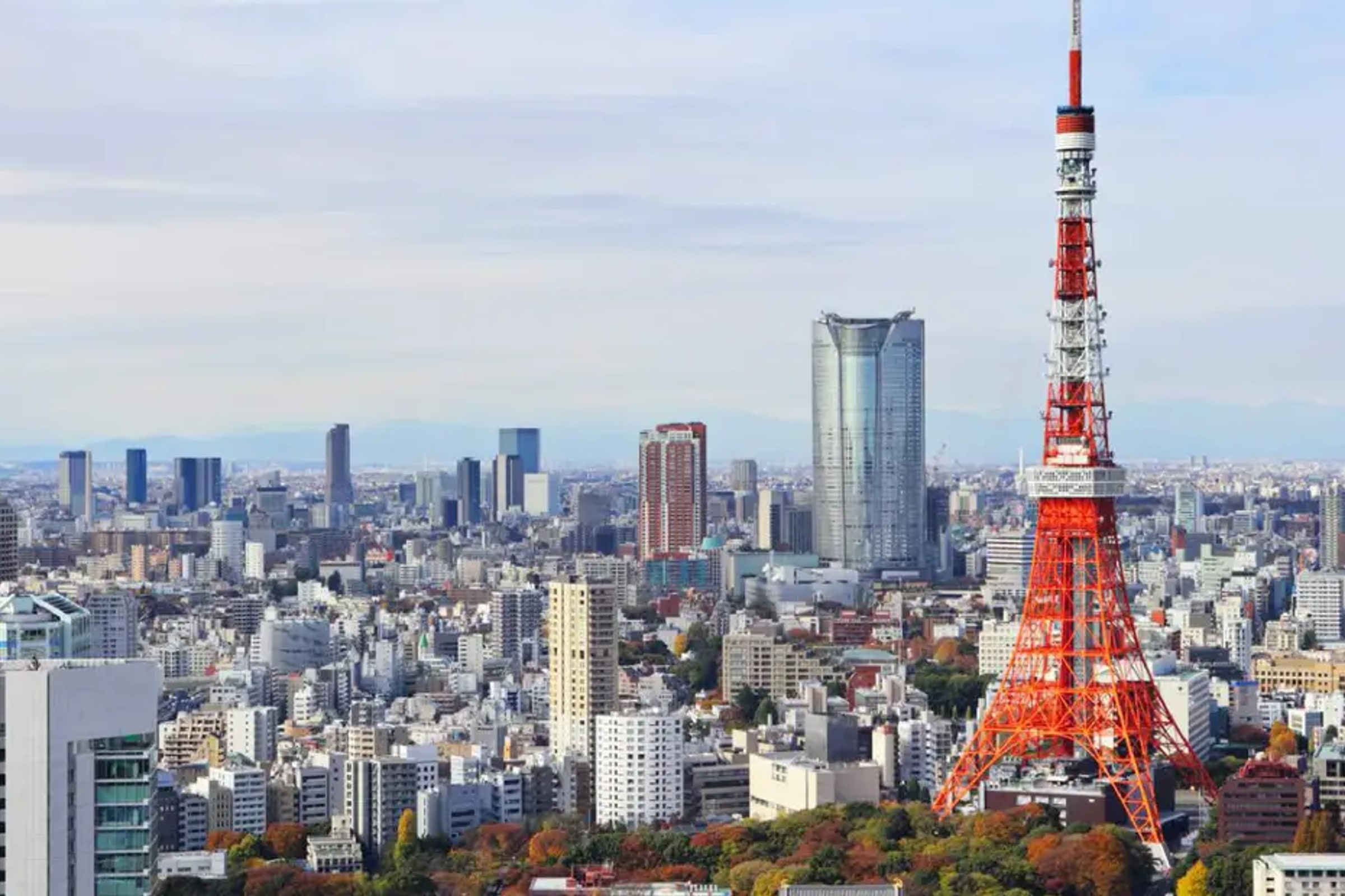 Tokyo Tower Observatory Admission Ticket