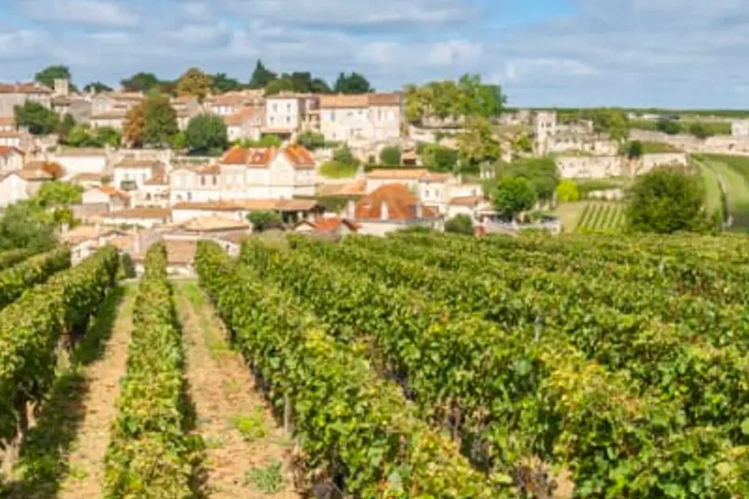 Medoc or St-Emilion Small-Group Wine Tasting and Chateaux Tour from Bordeaux