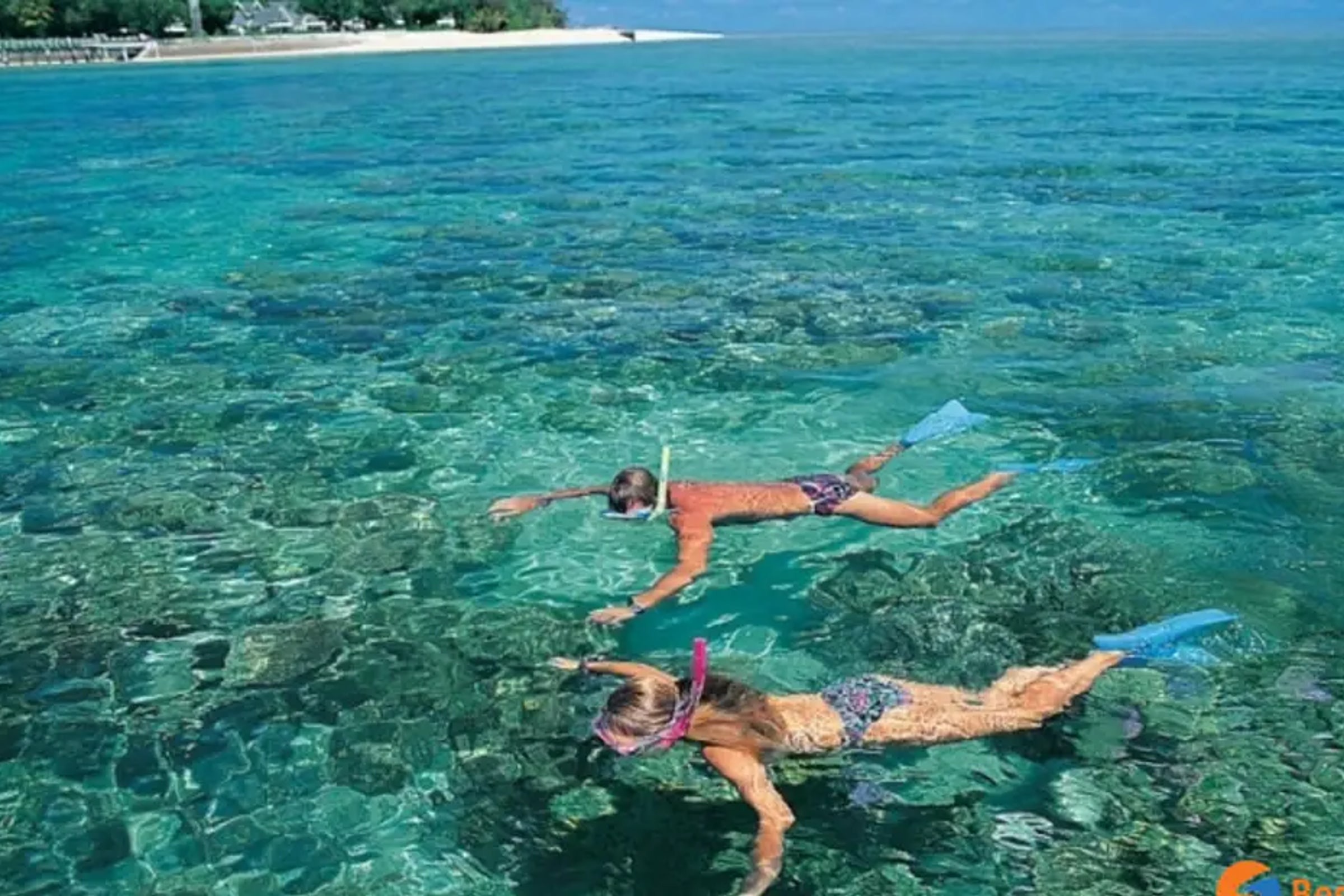 Koh Larn Speedboat Day Trip from Pattaya with Lunch and Water Activities