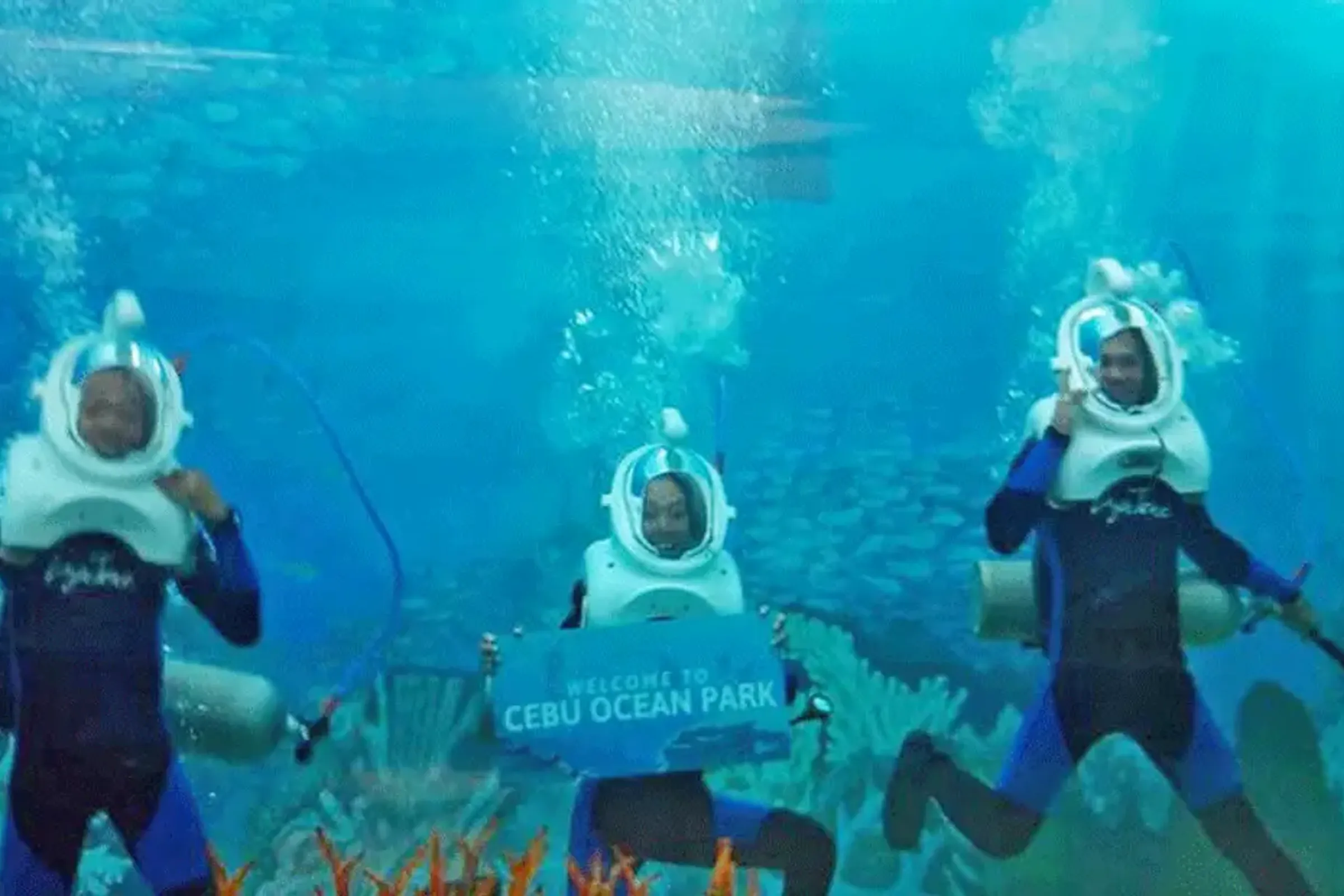 Cebu Ocean Park Ticket — photo 5