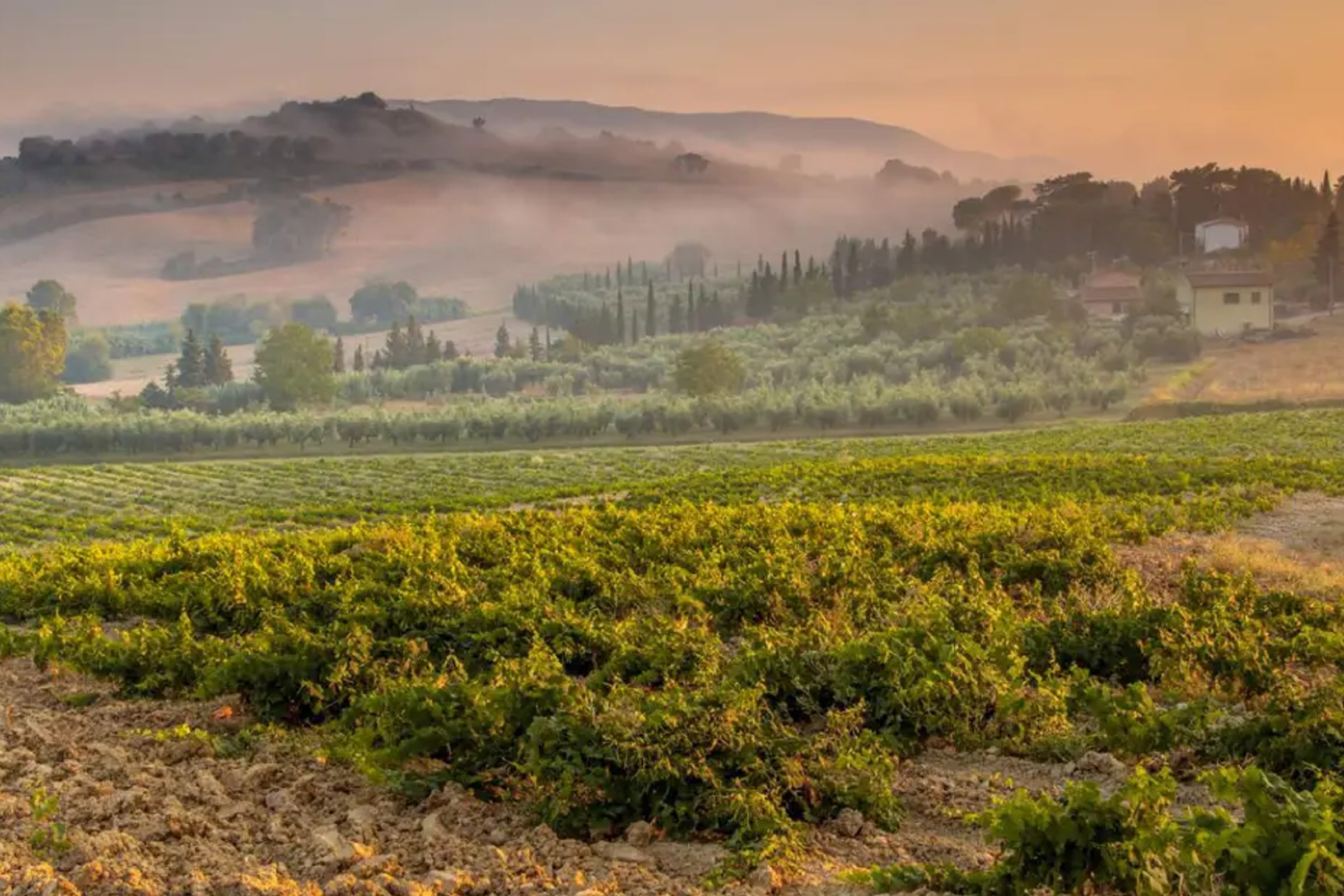 Chianti Half-day Wine Tour in the Tuscan's Hills from Pisa
