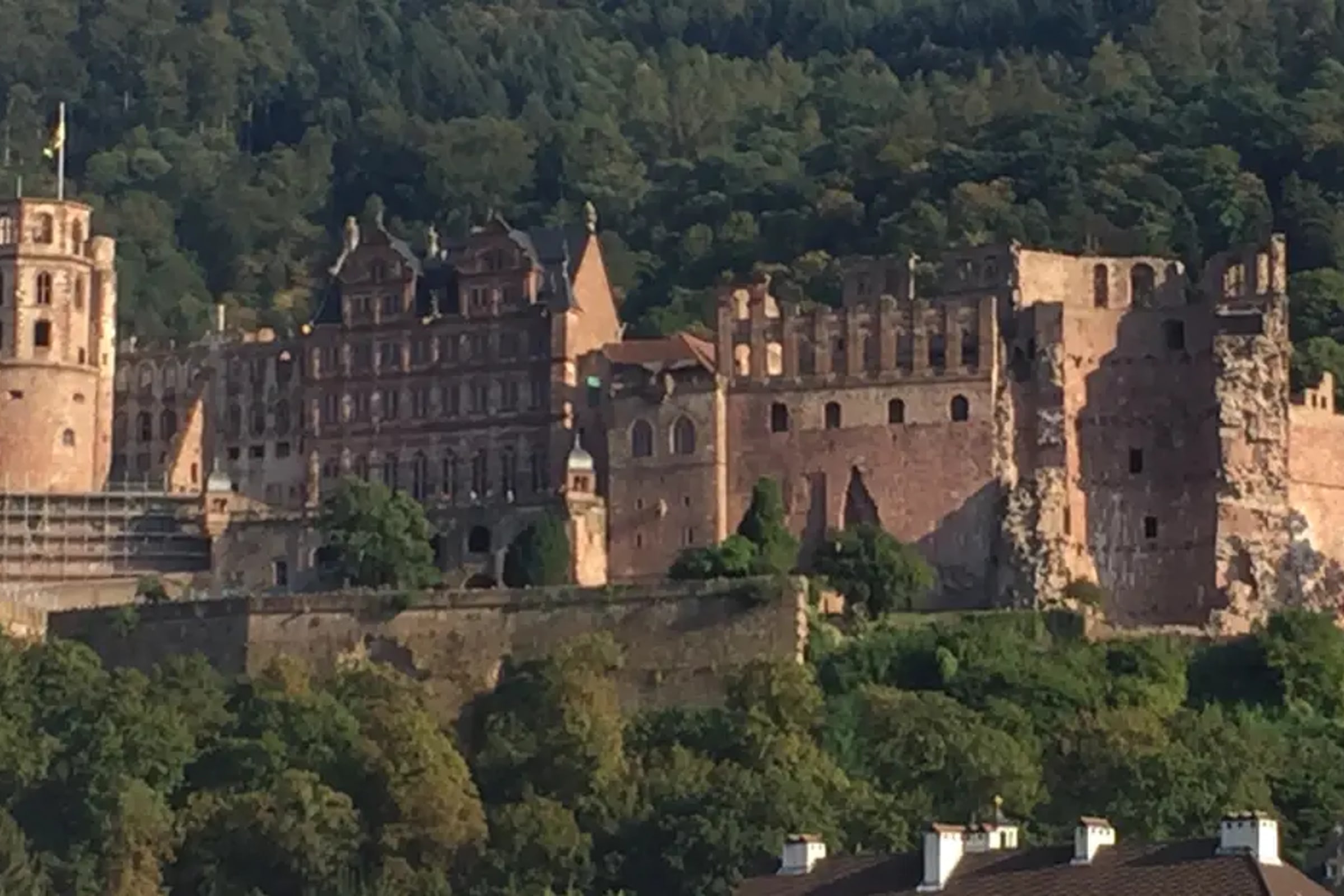 Heidelberg and Nuremberg Tour from Frankfurt