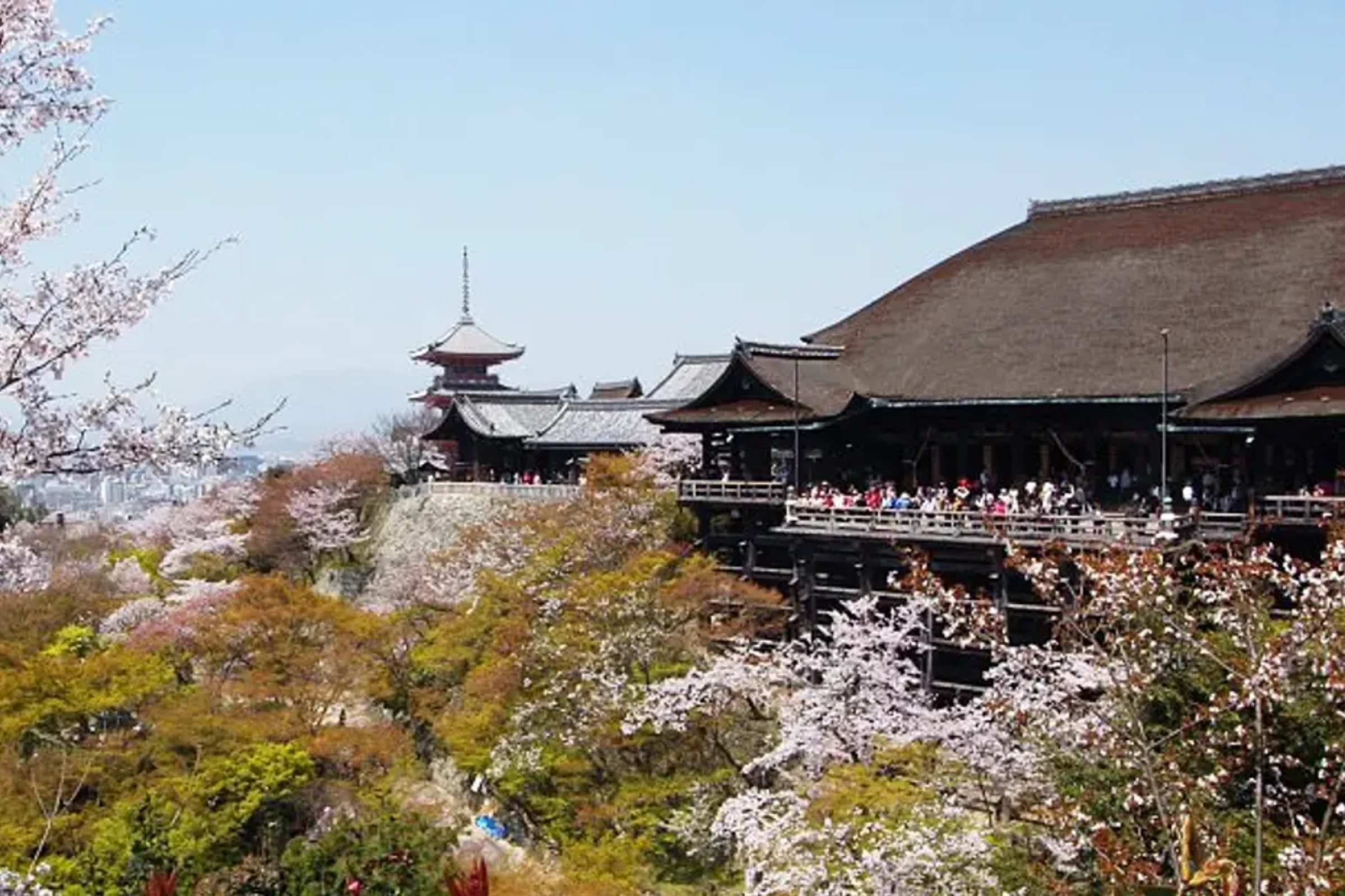 Kyoto Small-group Minivan Tour