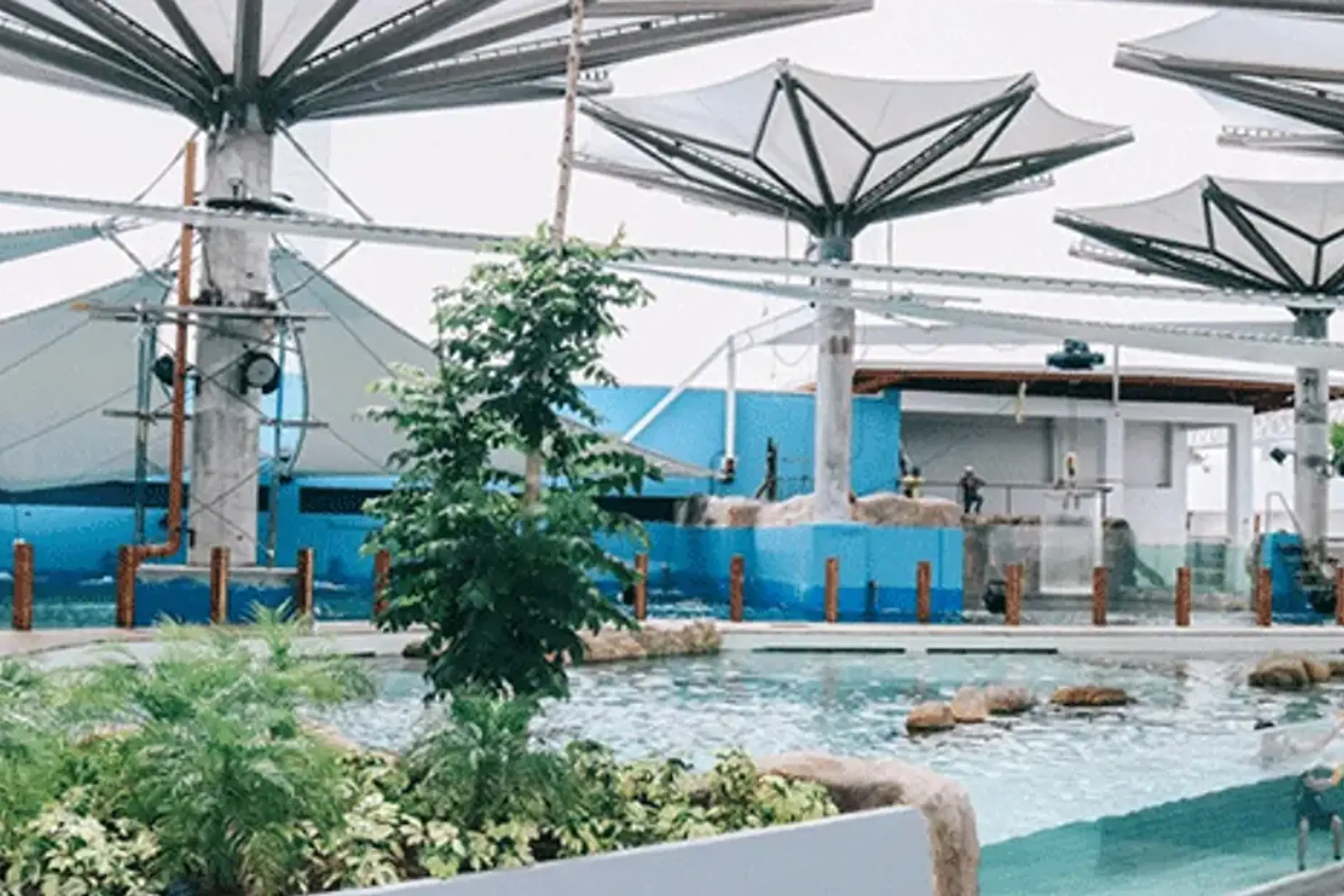 Cebu Ocean Park Ticket — photo 3