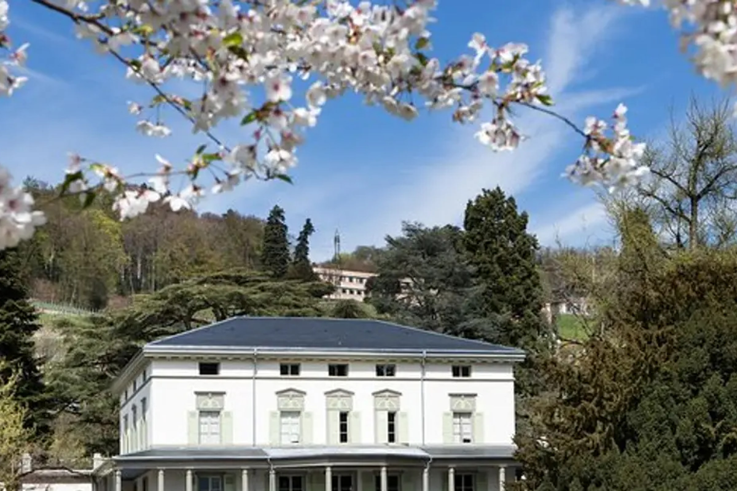 Winter Riviera , Montreux, Château de Chillon, and Chaplin's World from Geneva