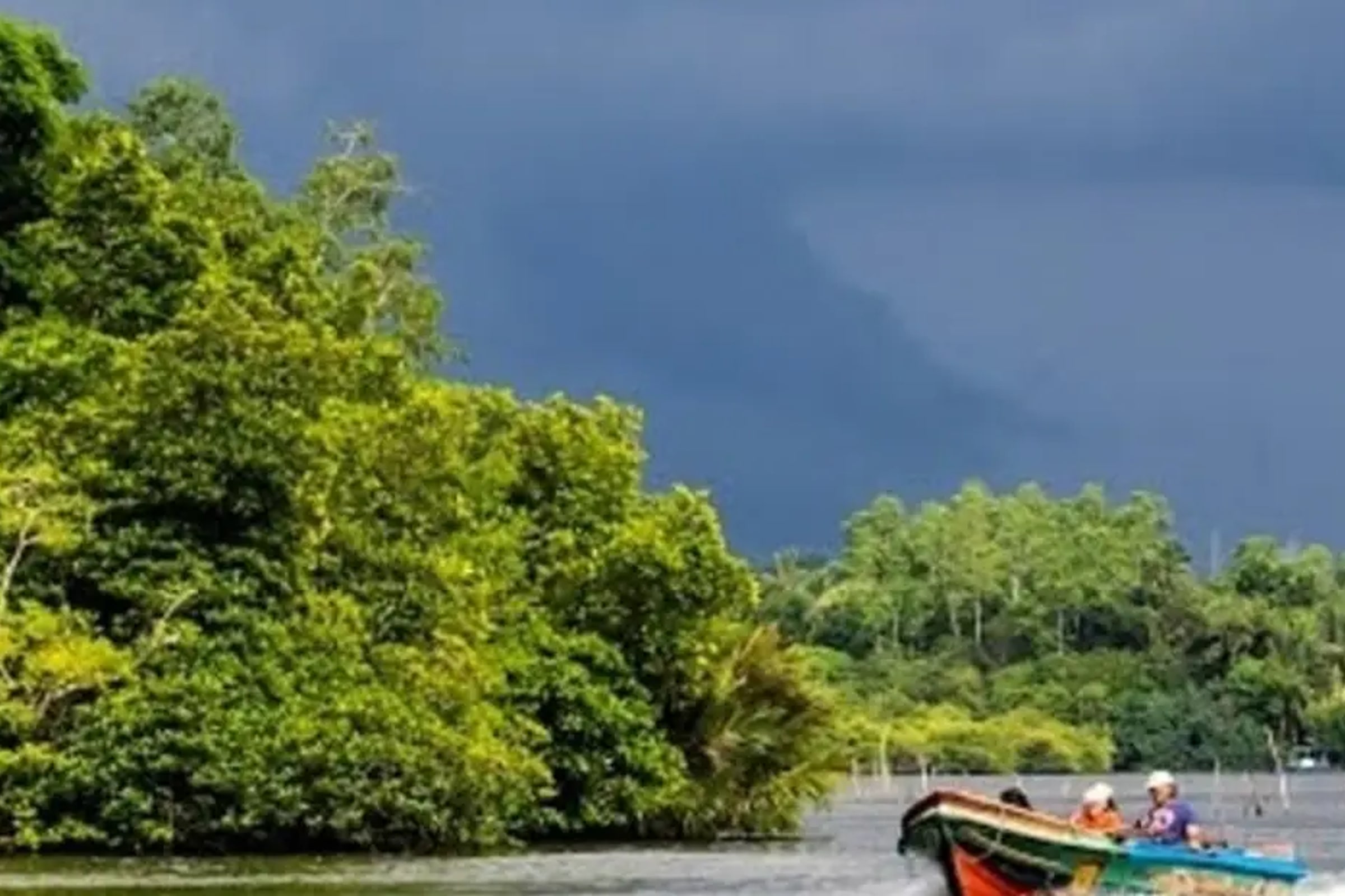 Balapitiya River Safari and Nature Tour from Colombo