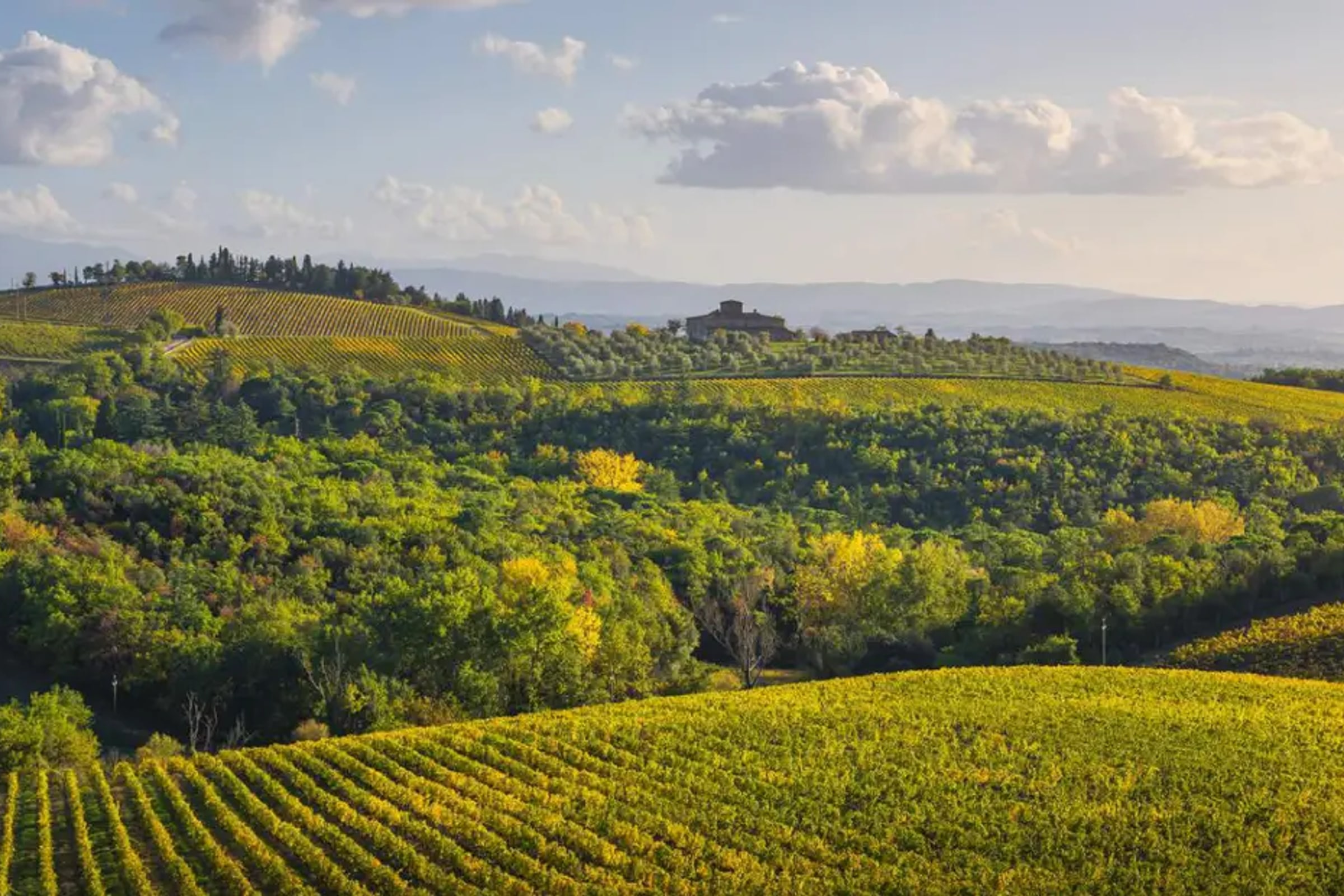 Highlights of Tuscany with Lunch in a Chianti Winery