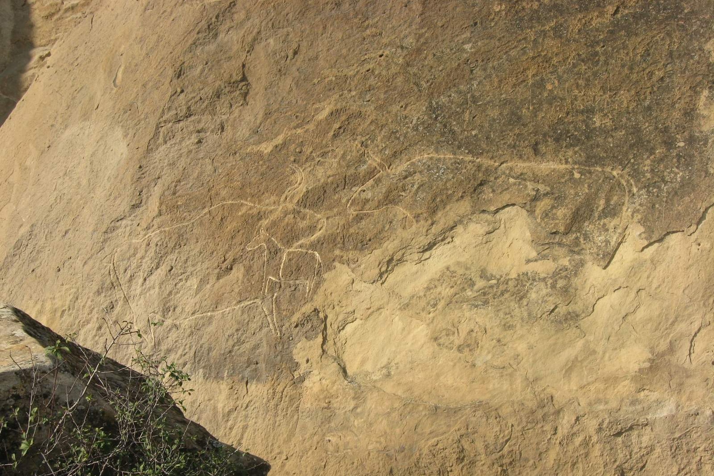 Gobustan Tour