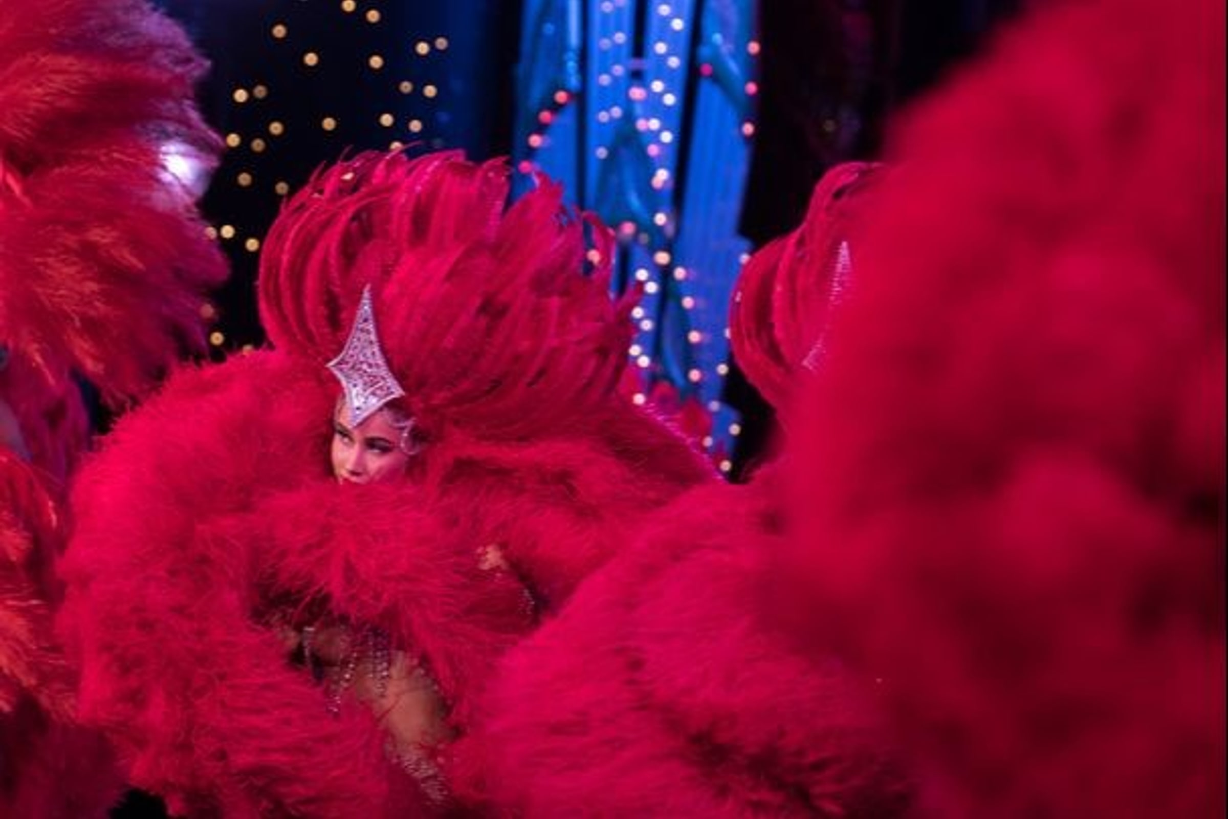 Paris City night tour + Moulin Rouge show (glass of champagne)