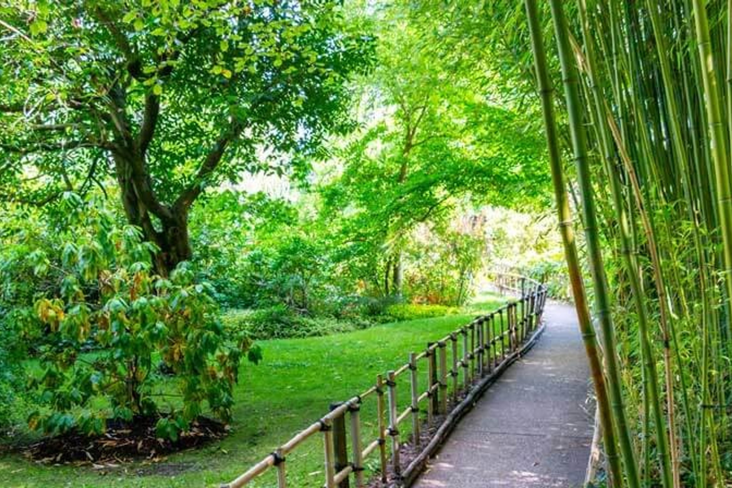 Half day trip Giverny Monet's Gardens Excursion at your leisure from Paris