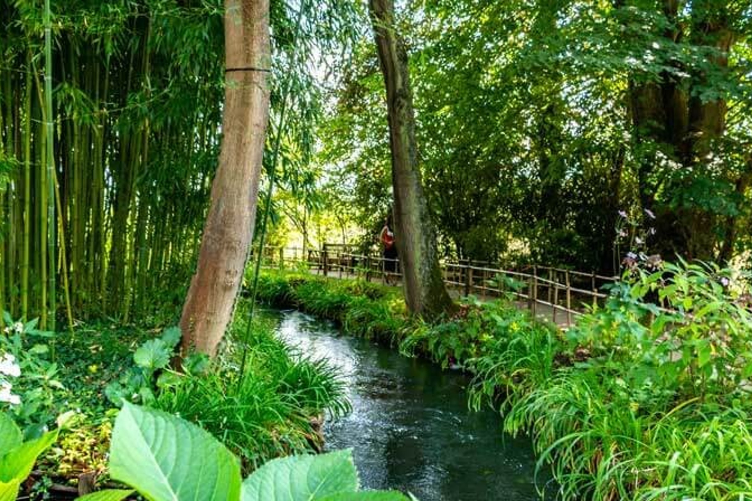 Half Day Trip Guided Tour of Giverny Monet's Gardens from Paris with transportation