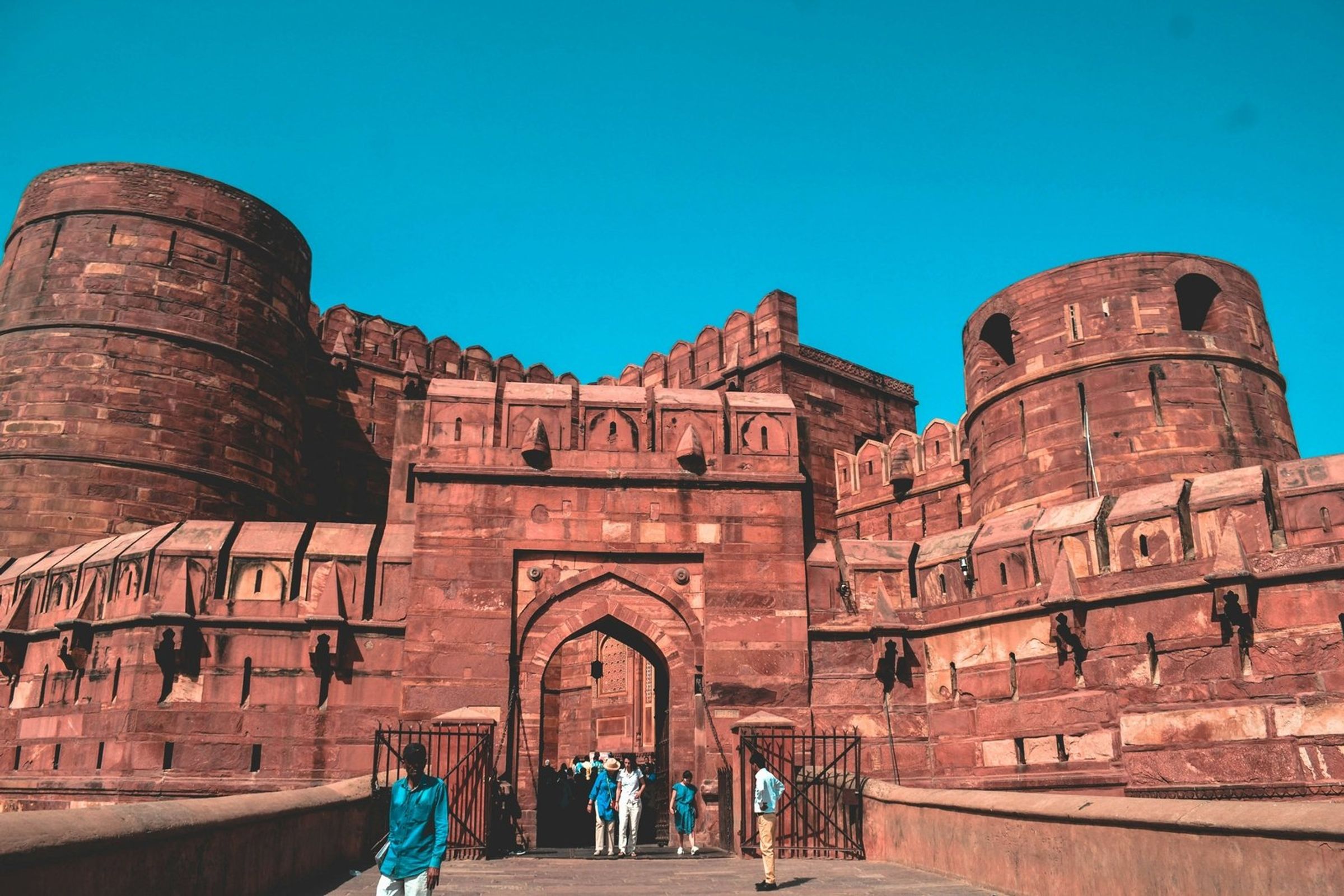 India and Tigers Tour