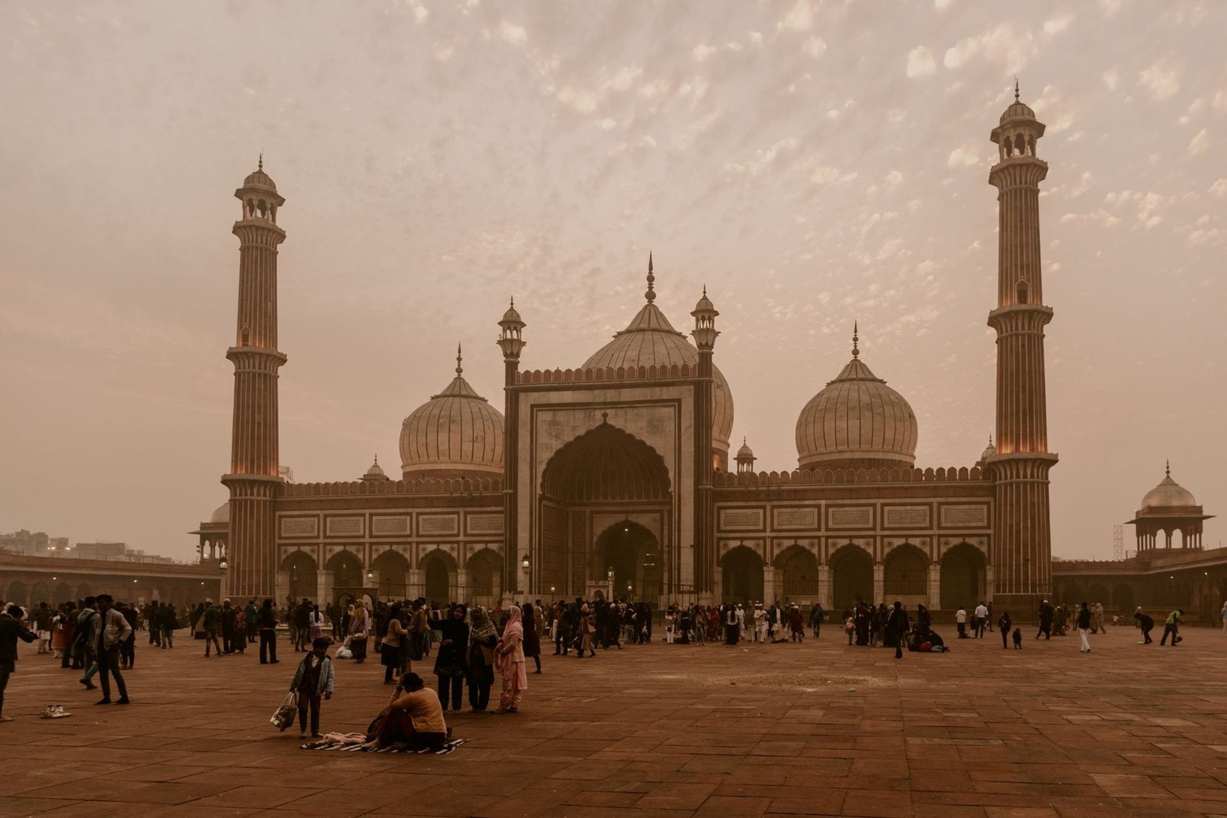 India and Tigers Tour