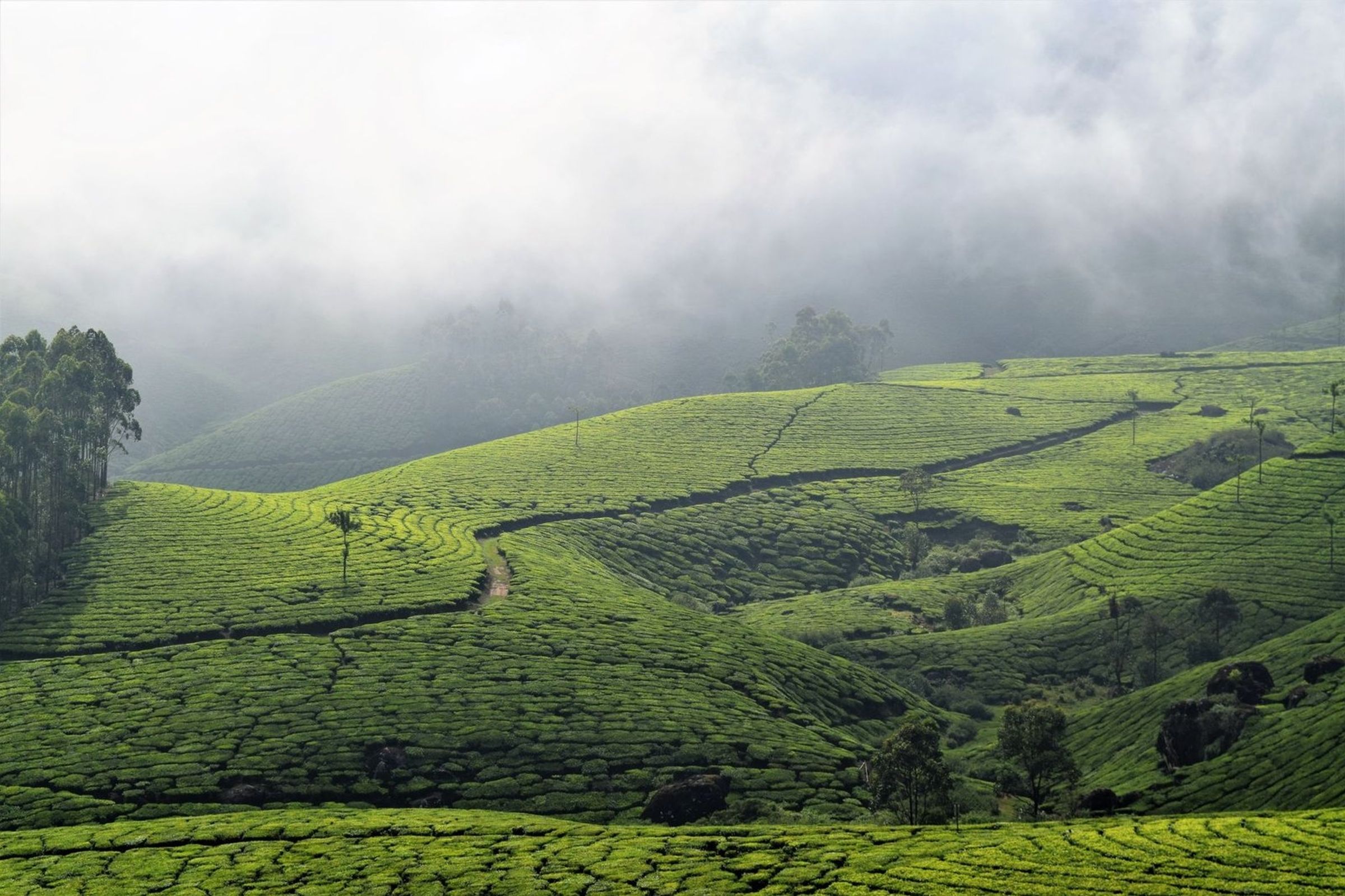 The Grand India Journey