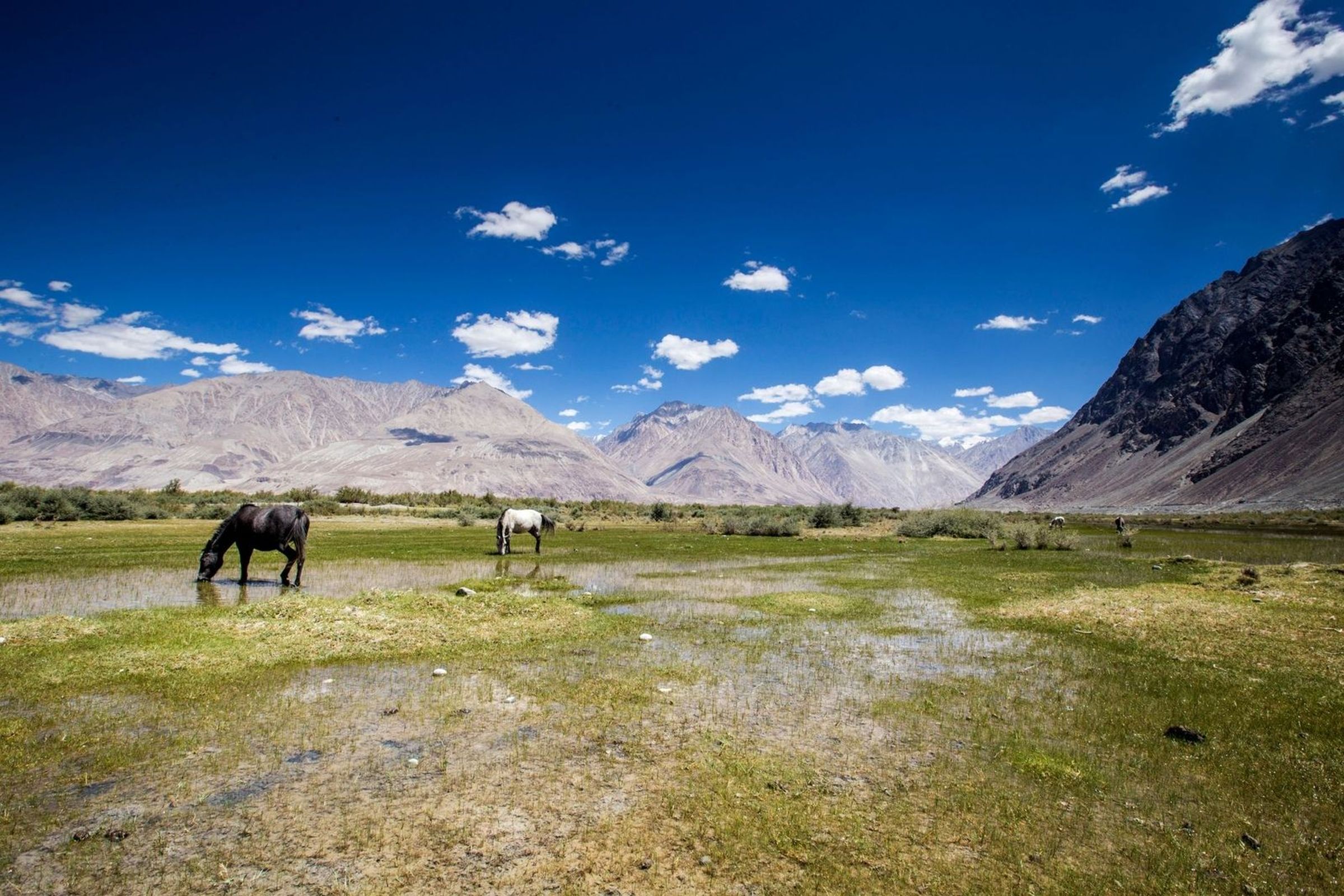 Ladakh Tour