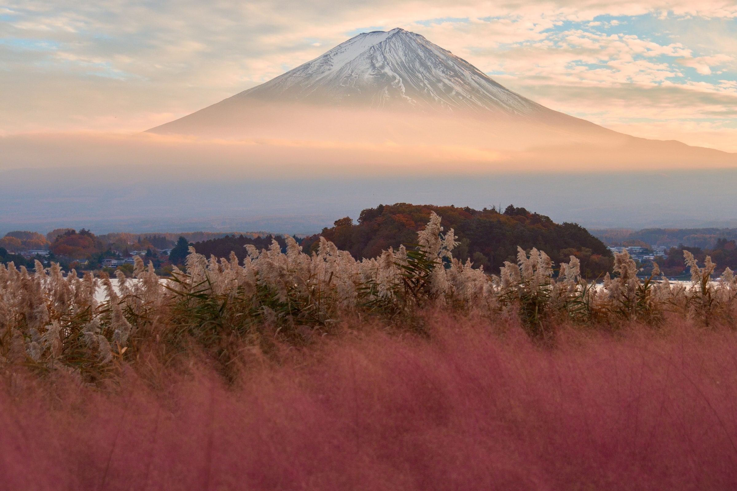 東京家族旅行
