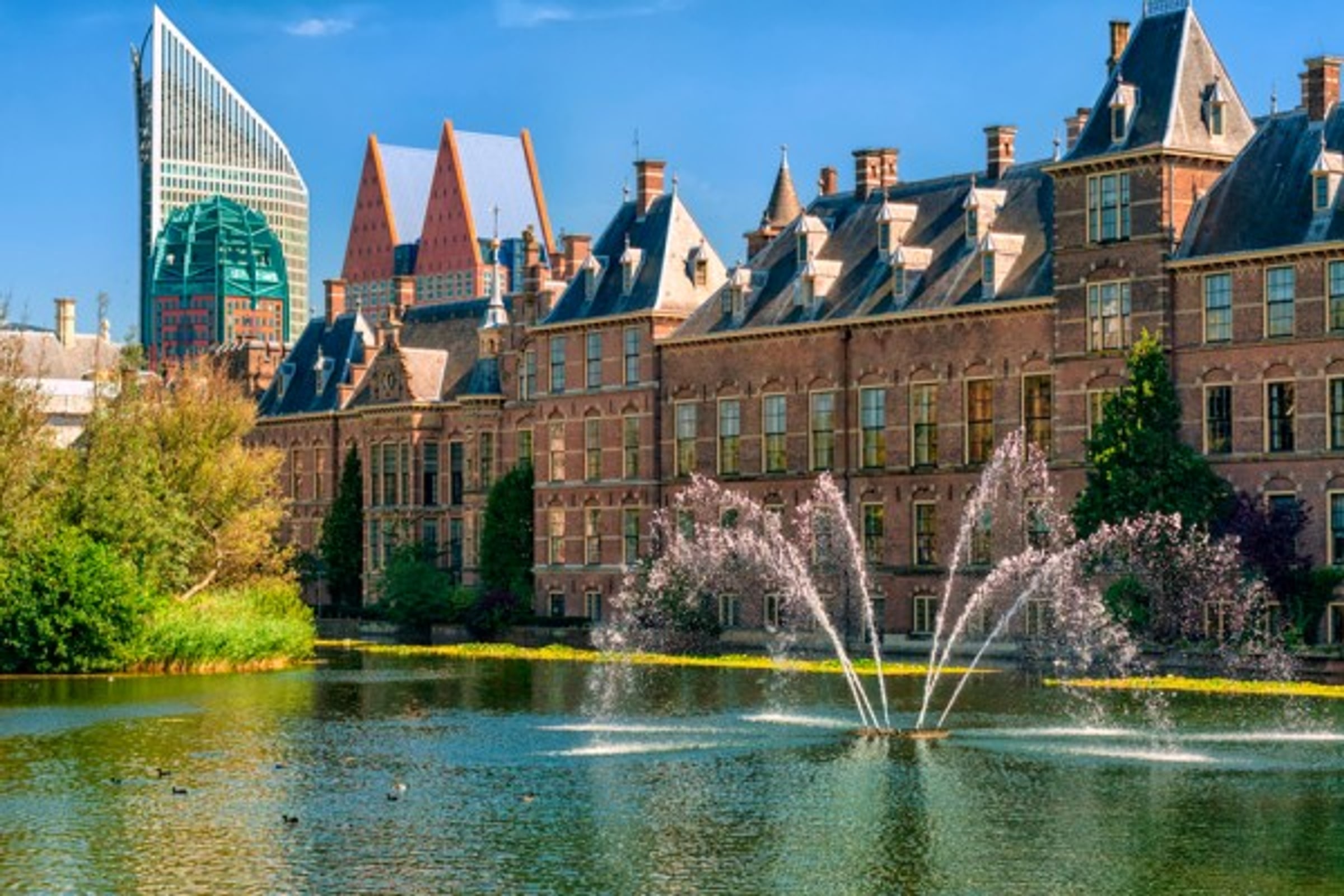 Private Daytrip to Rotterdam and The Hague