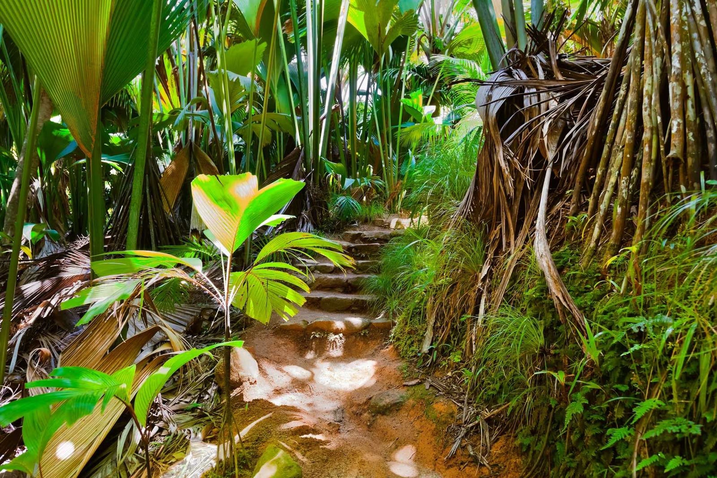 Découverte des Seychelles – 4 nuits / 5 jours d’évasion insulaire