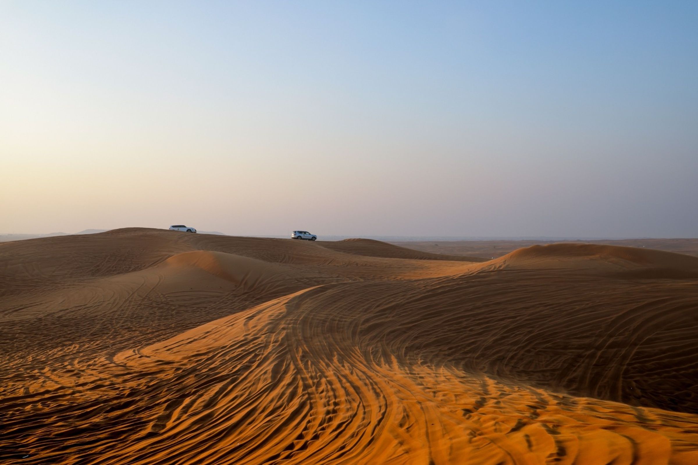 Morning Desert Safari
