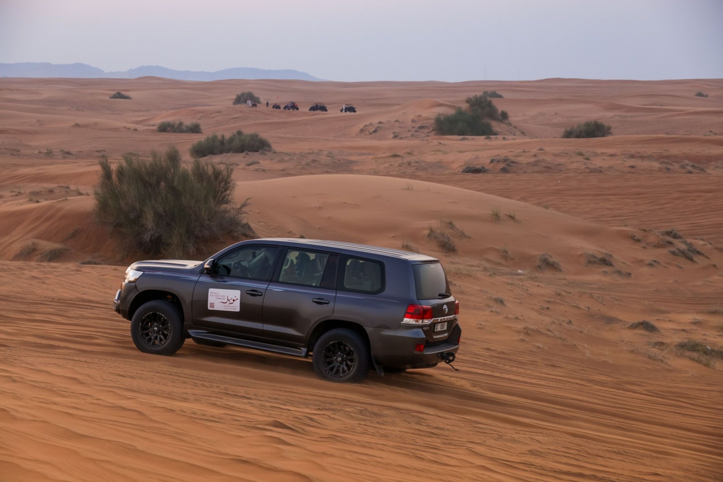 Morning Desert Safari