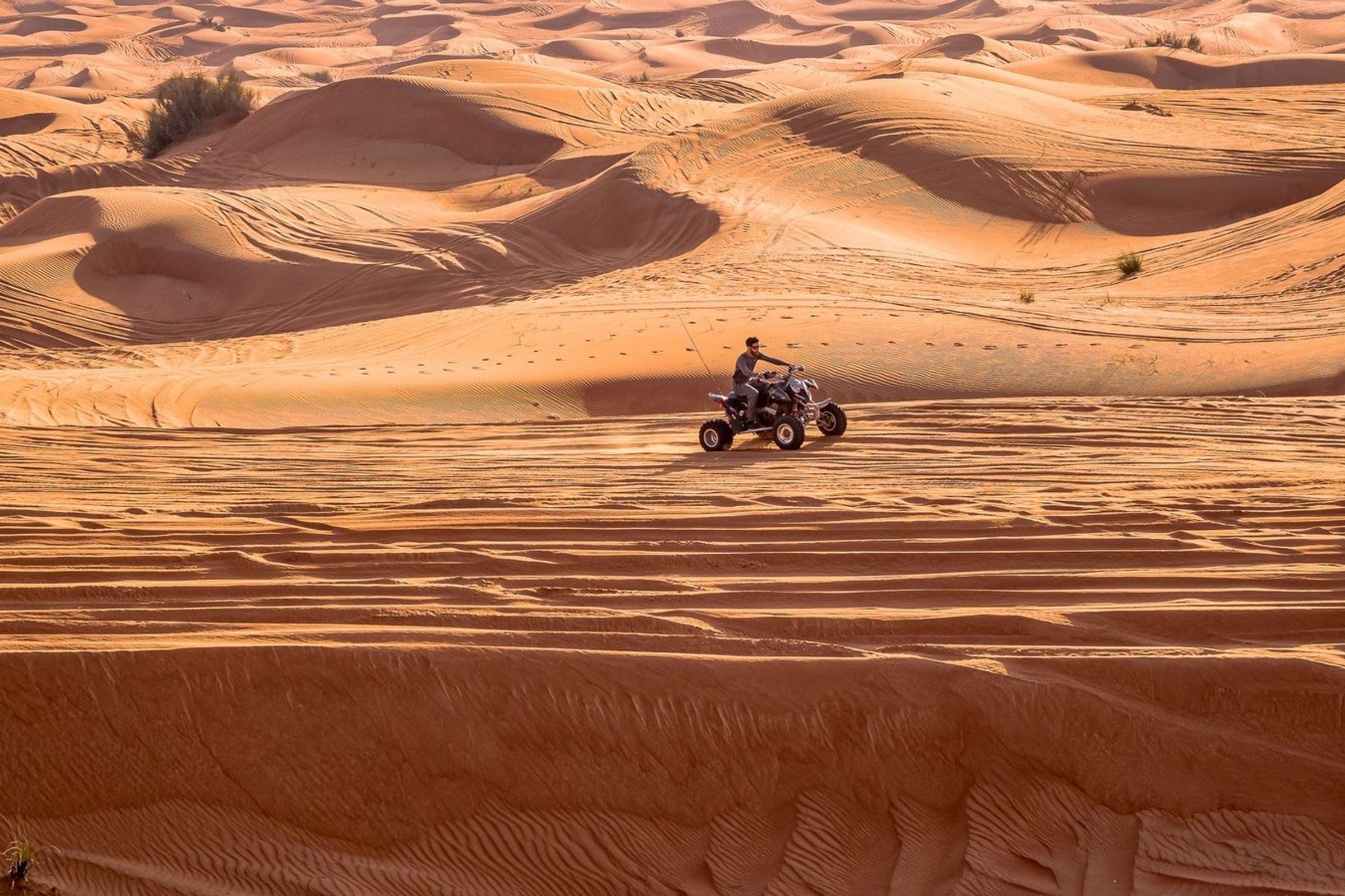 Desert Safari Plus Quad Bike Experience