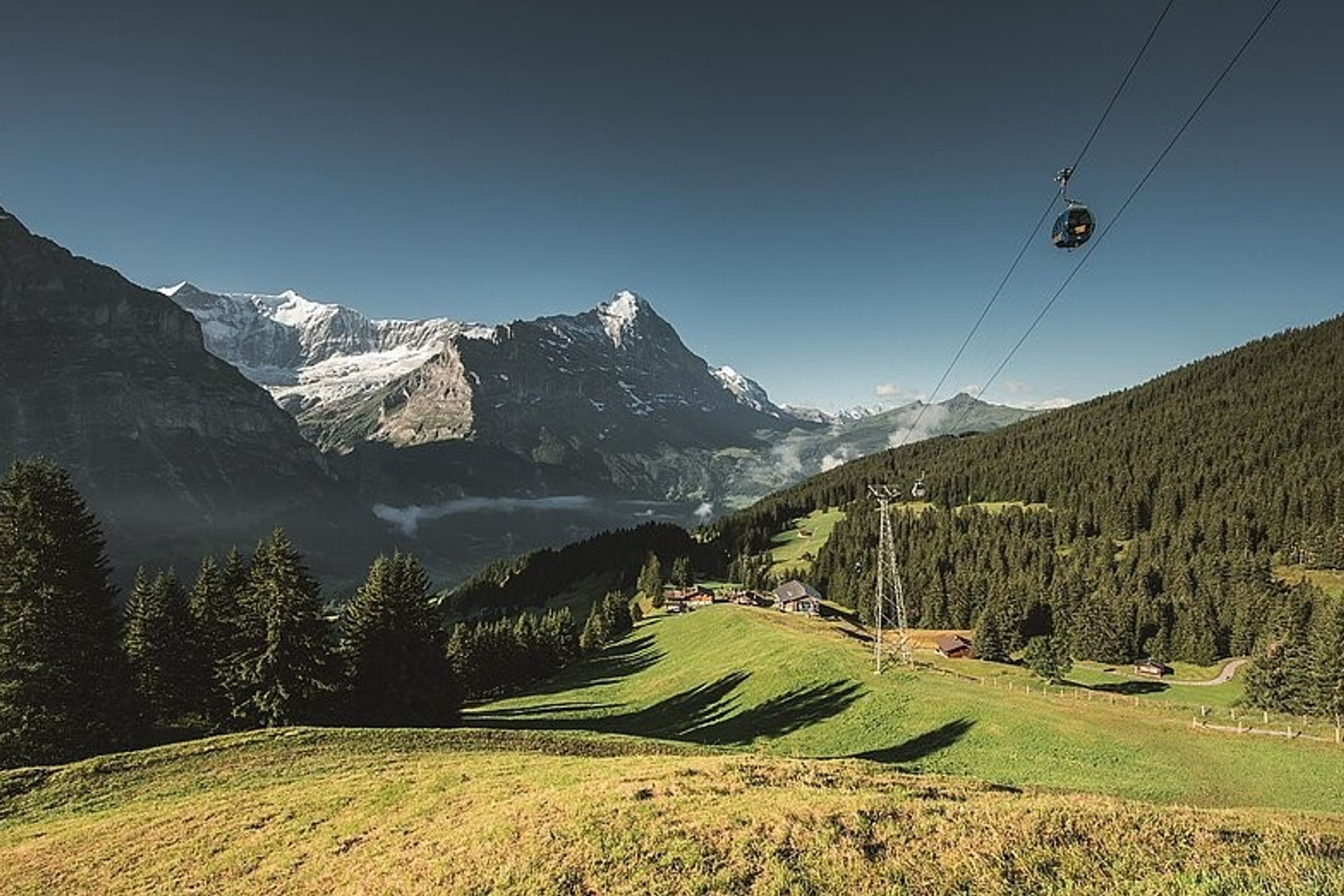 Grindelwald First - Top of Adventure — photo 3
